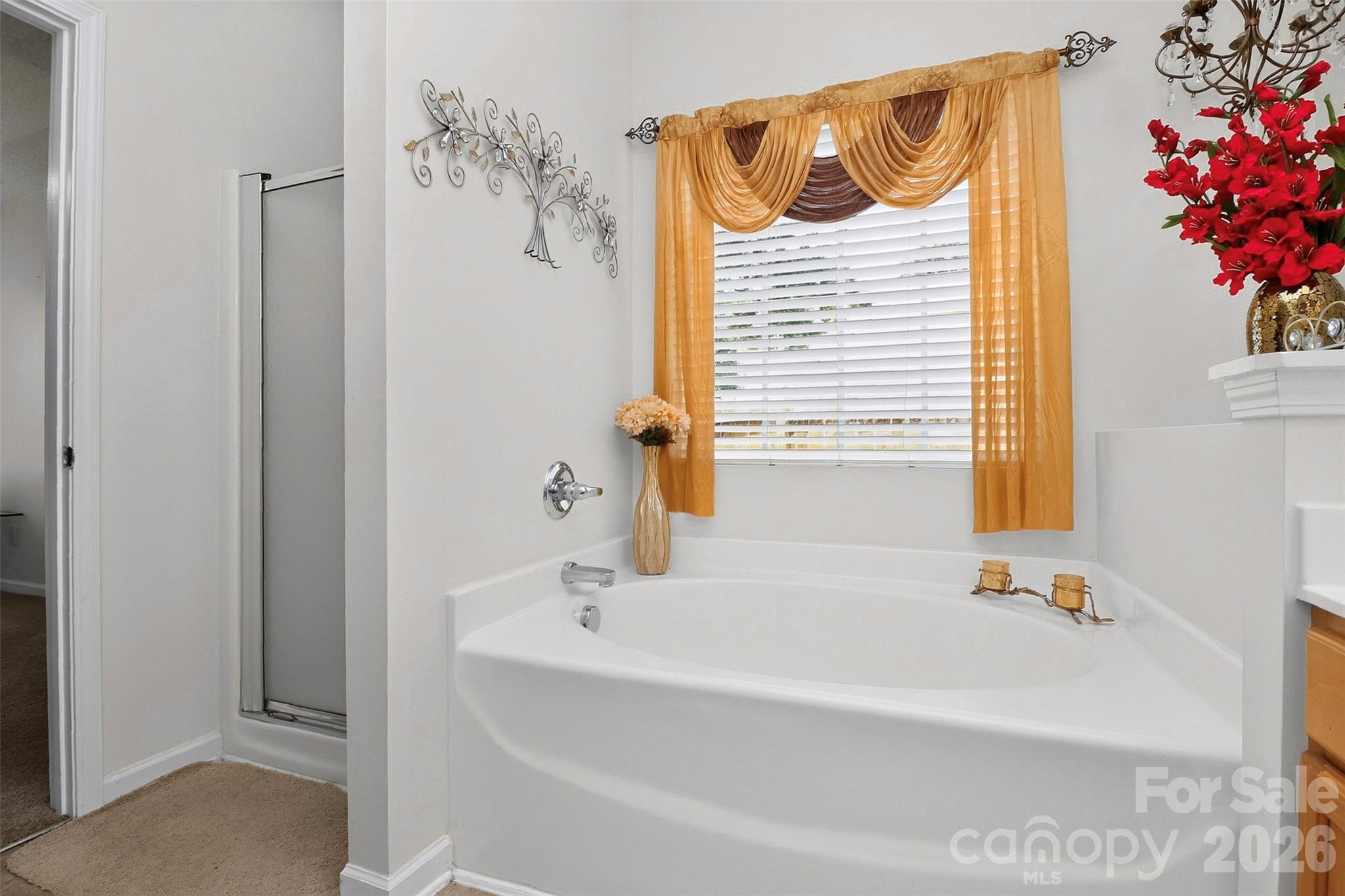 7613 Deluca Drive — Charlotte