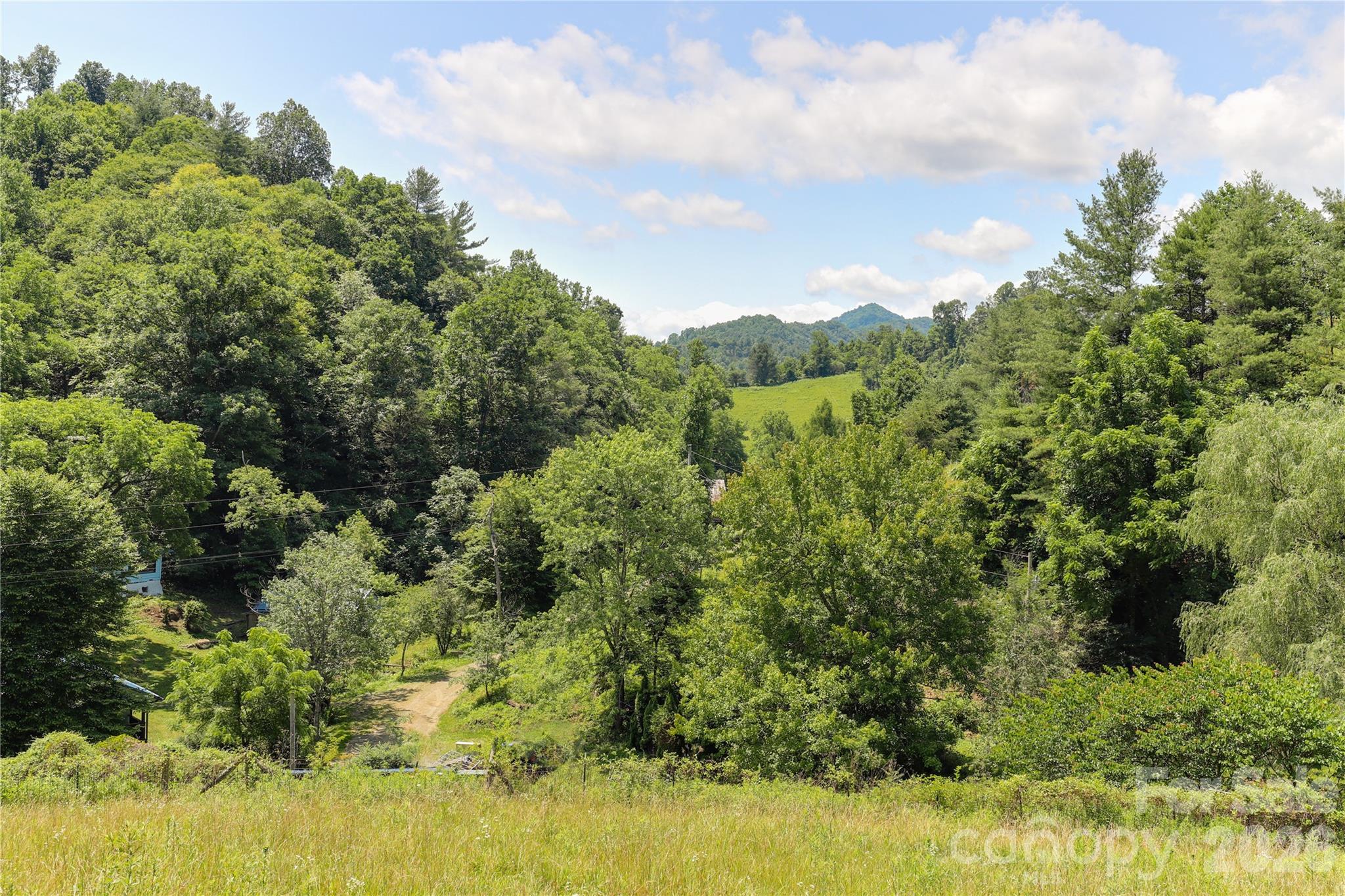 435 Mountain Cove Road — Marshall