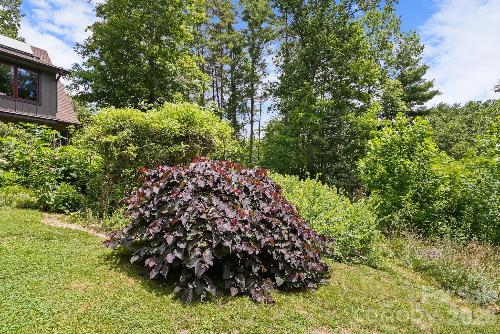 24 Merriwood Trail — Arden