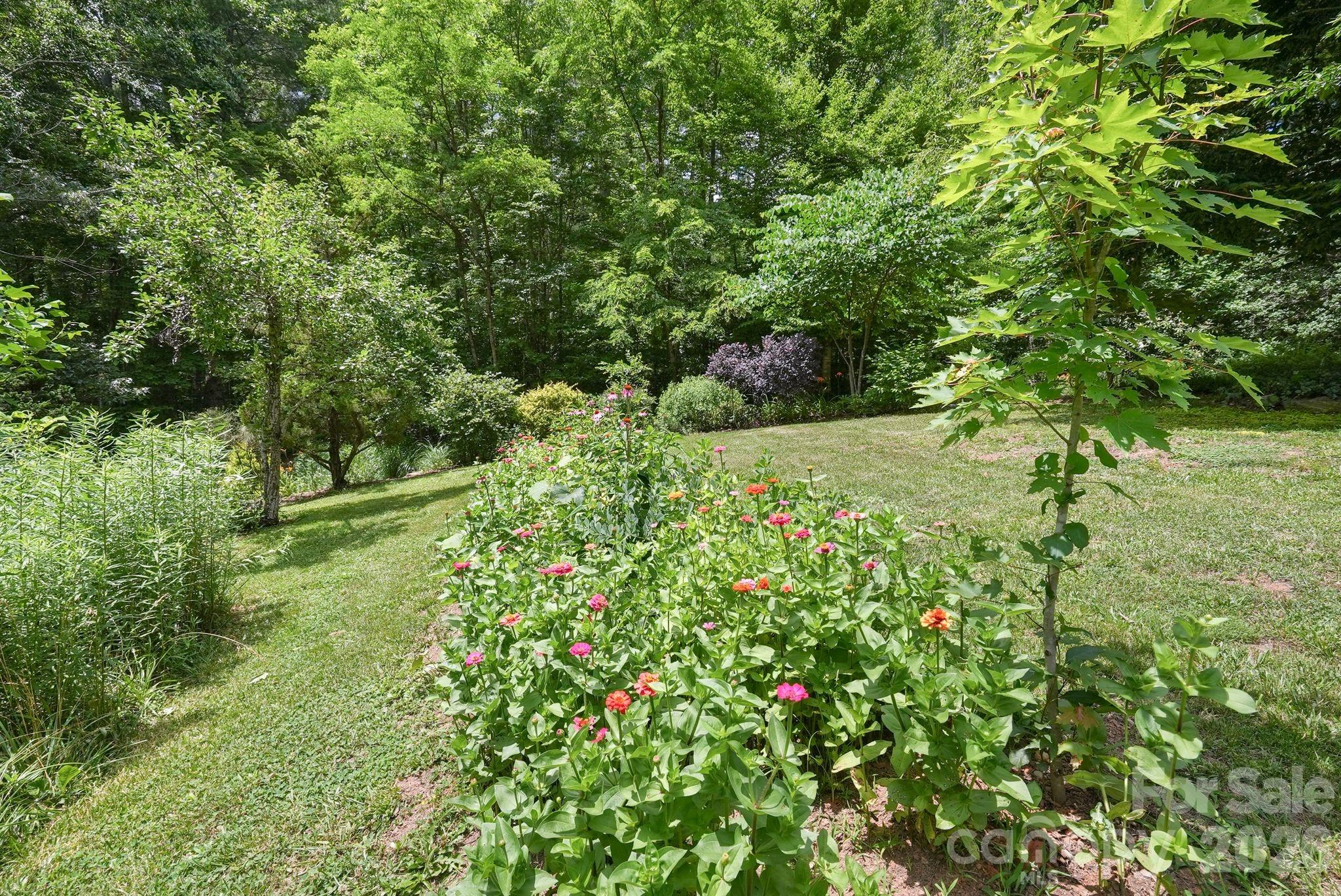 24 Merriwood Trail — Arden