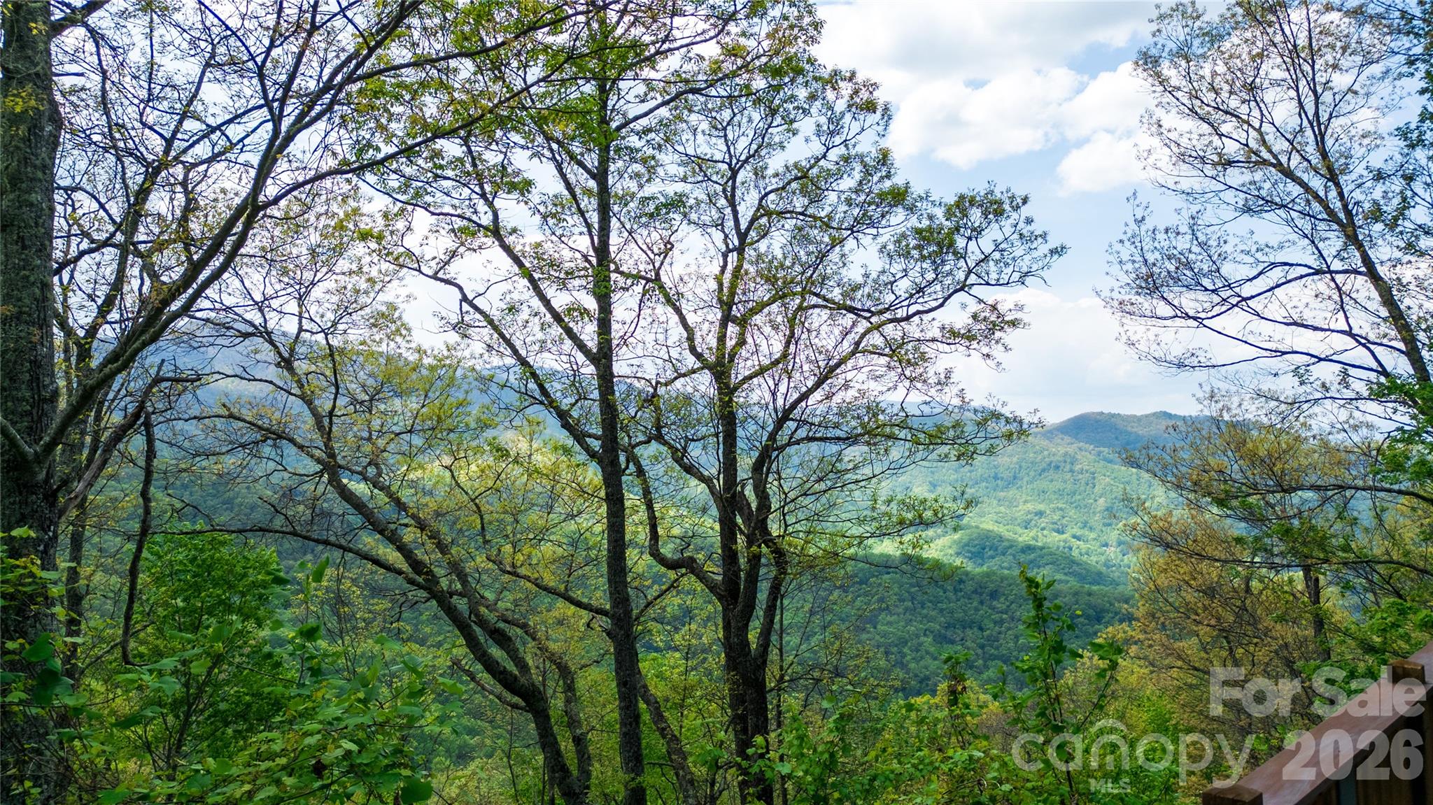 1602 Forest Run Road — Whittier