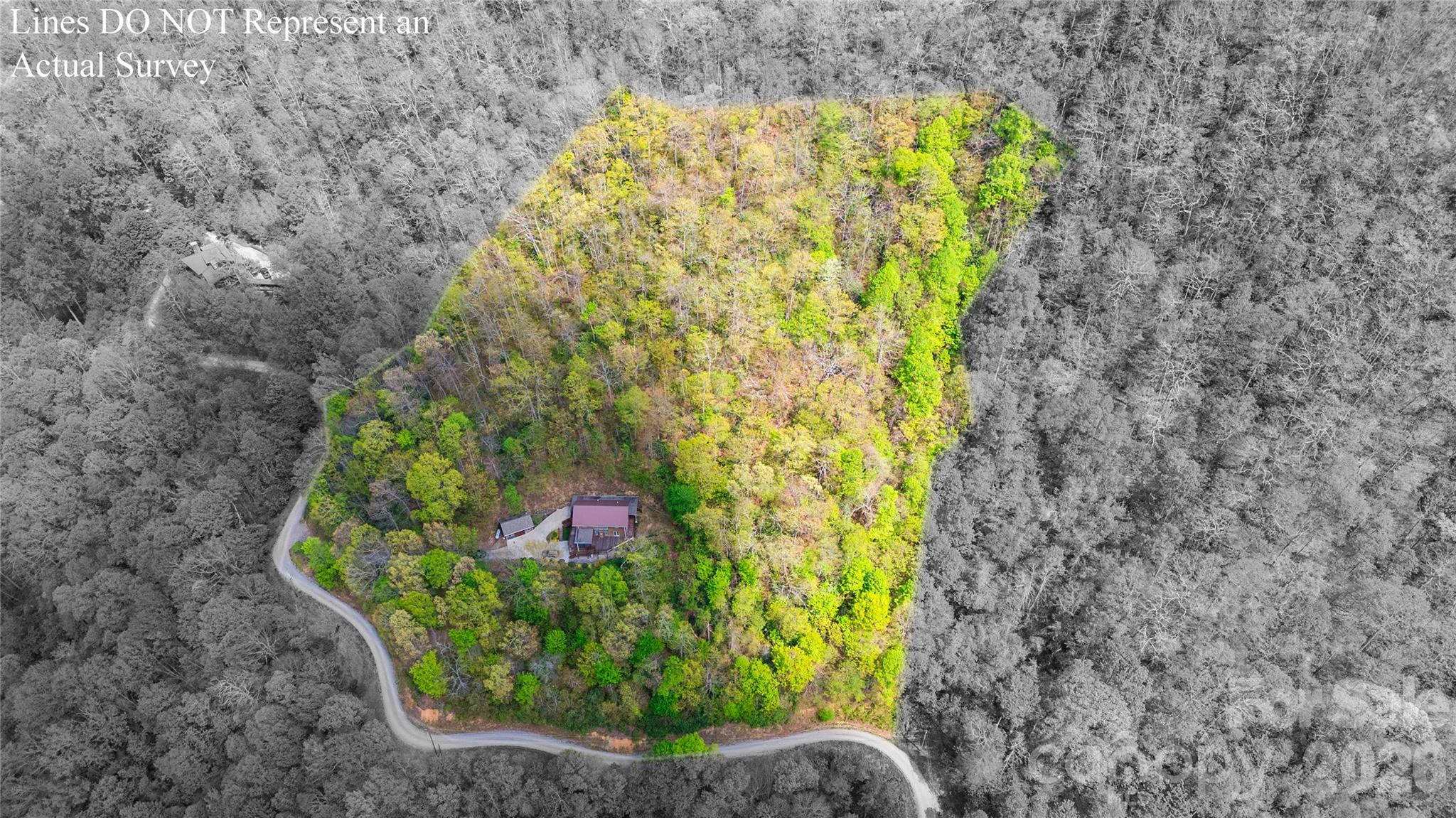 1602 Forest Run Road — Whittier
