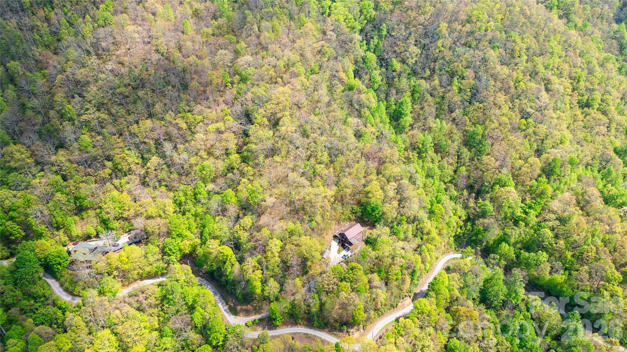 1602 Forest Run Road — Whittier