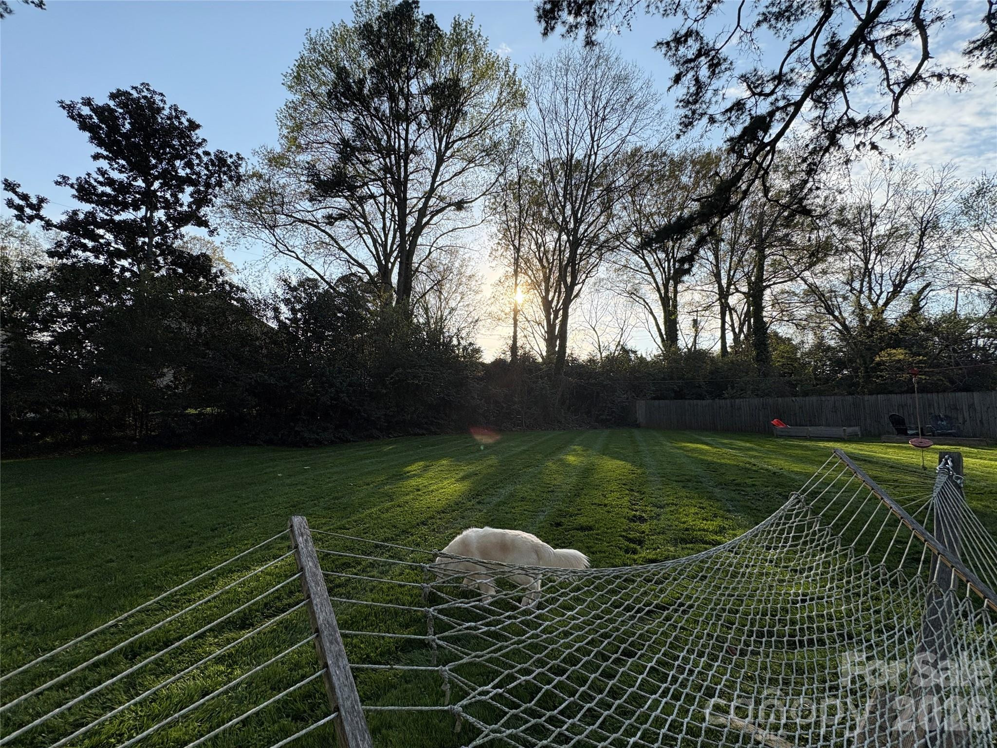 4124 Randolph Road — Charlotte