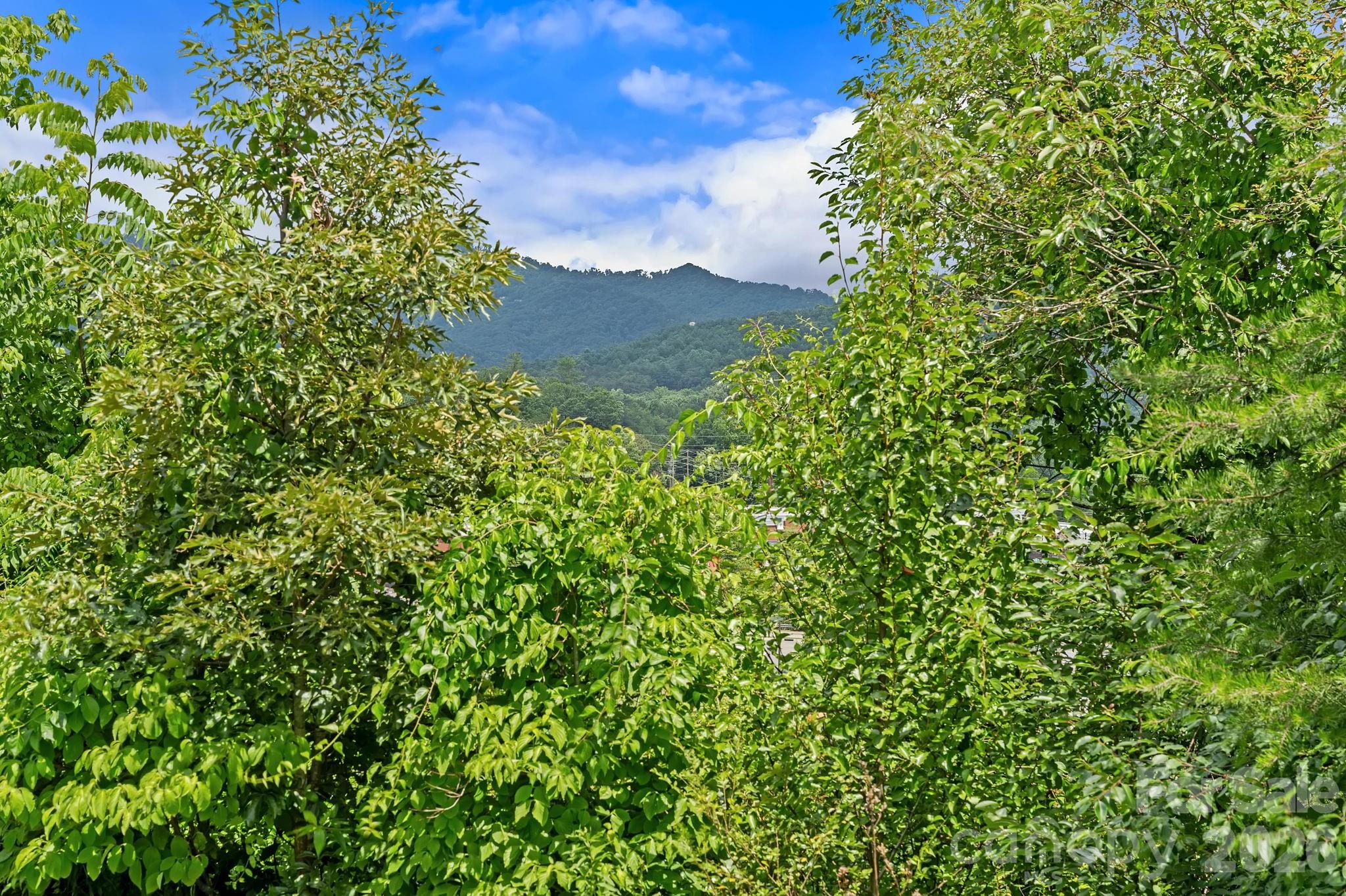 10 Benedict Lane — Weaverville