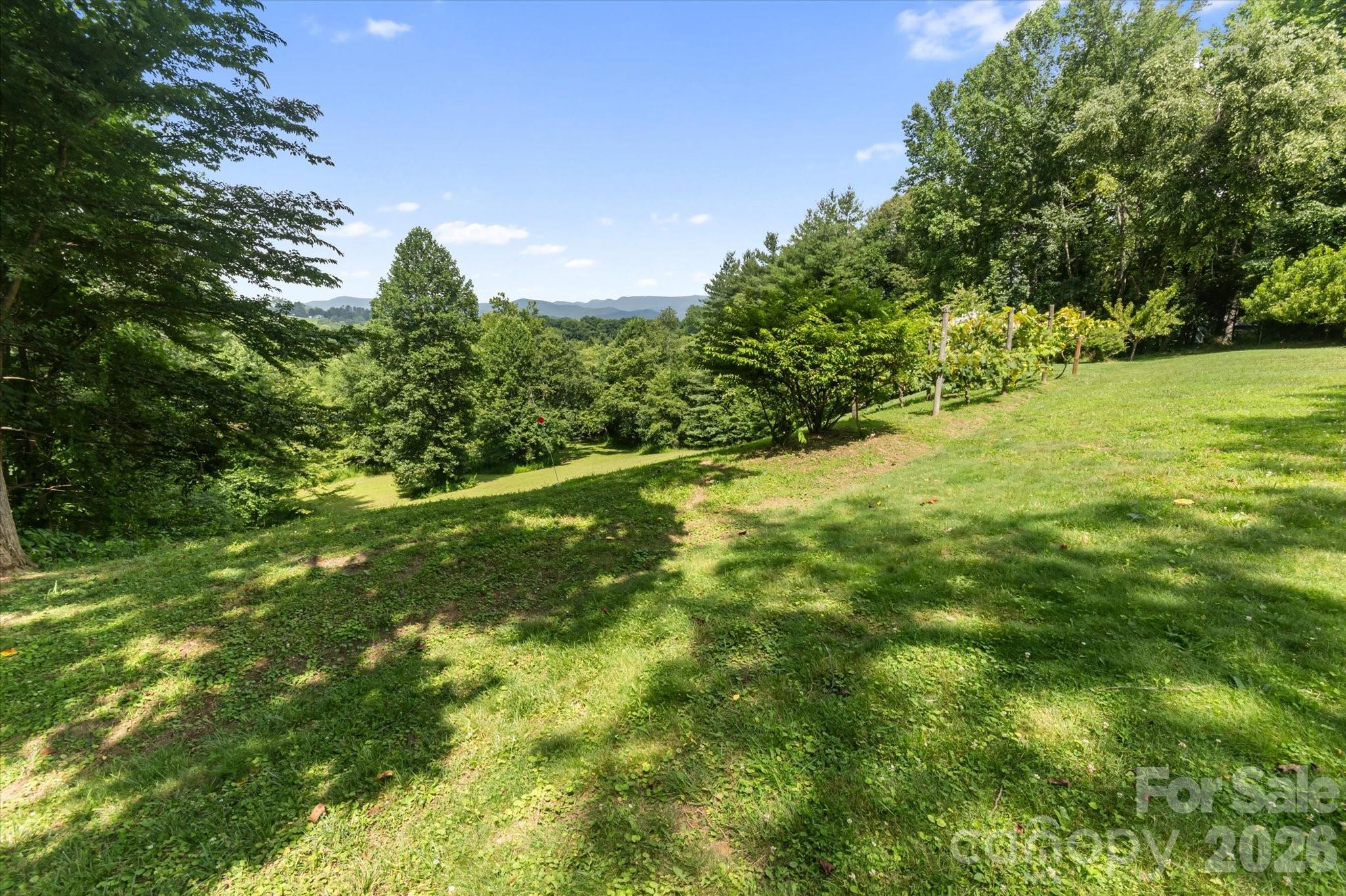 293 Sun Meadow Lane — Pisgah Forest