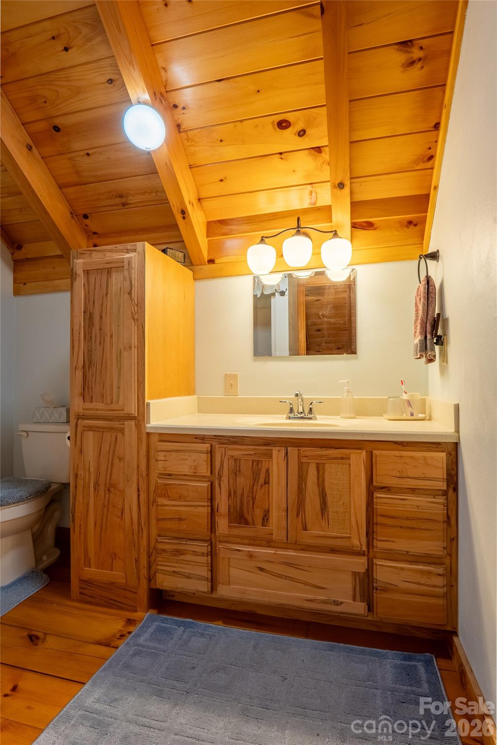 700 Howard Drive — Lake Lure