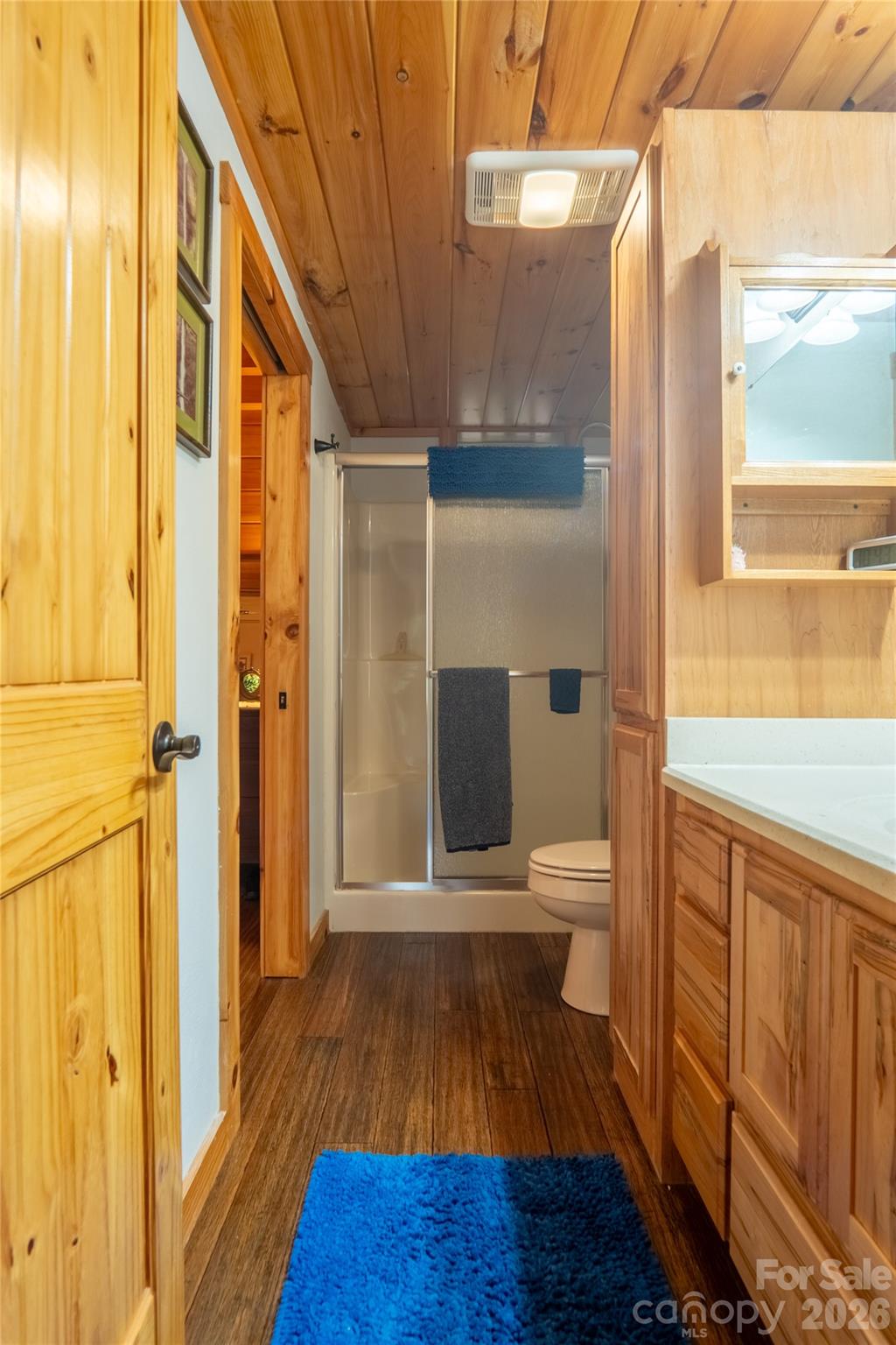 700 Howard Drive — Lake Lure