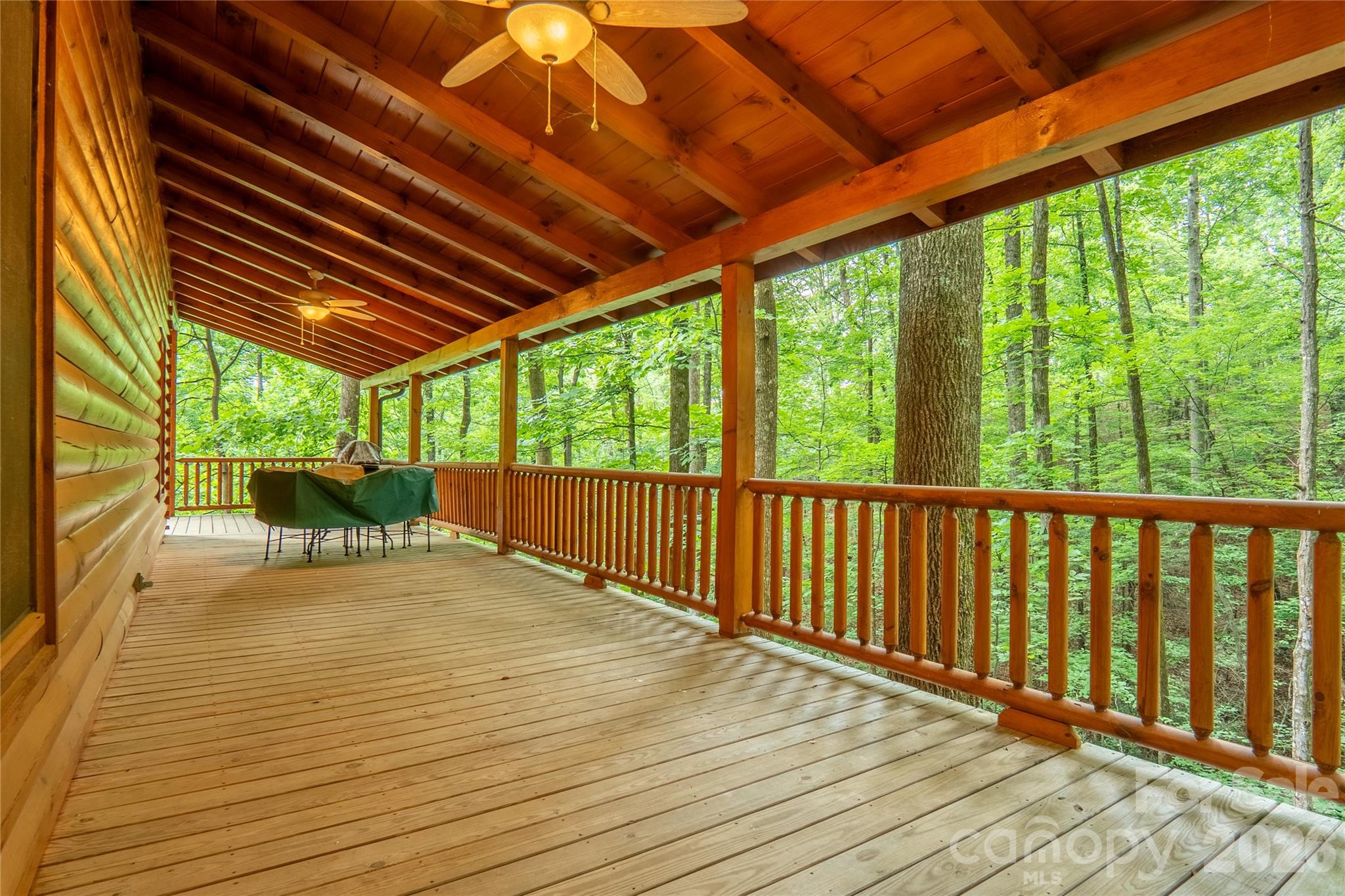 700 Howard Drive — Lake Lure