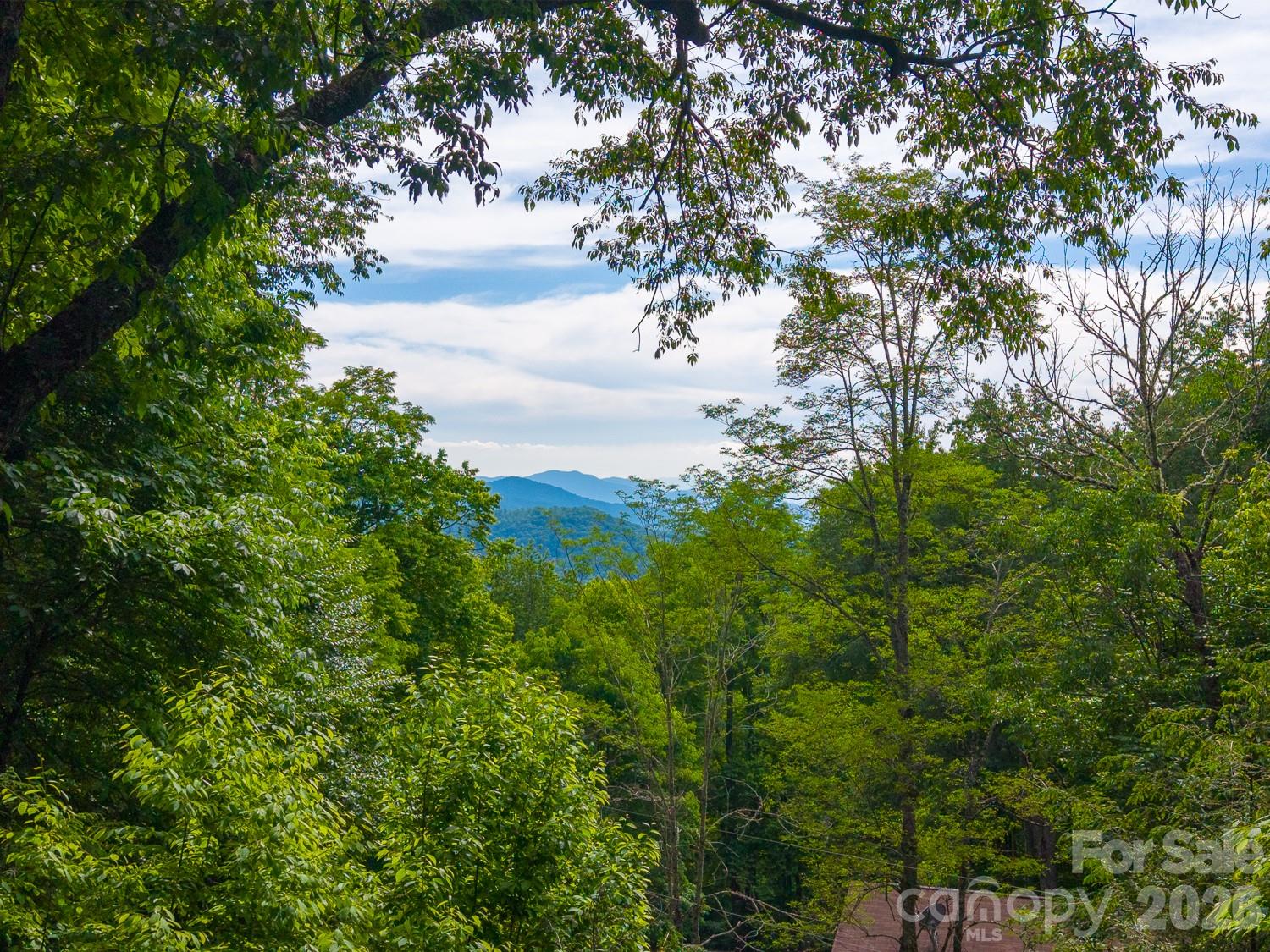 903 Plott Balsam Road — Maggie Valley