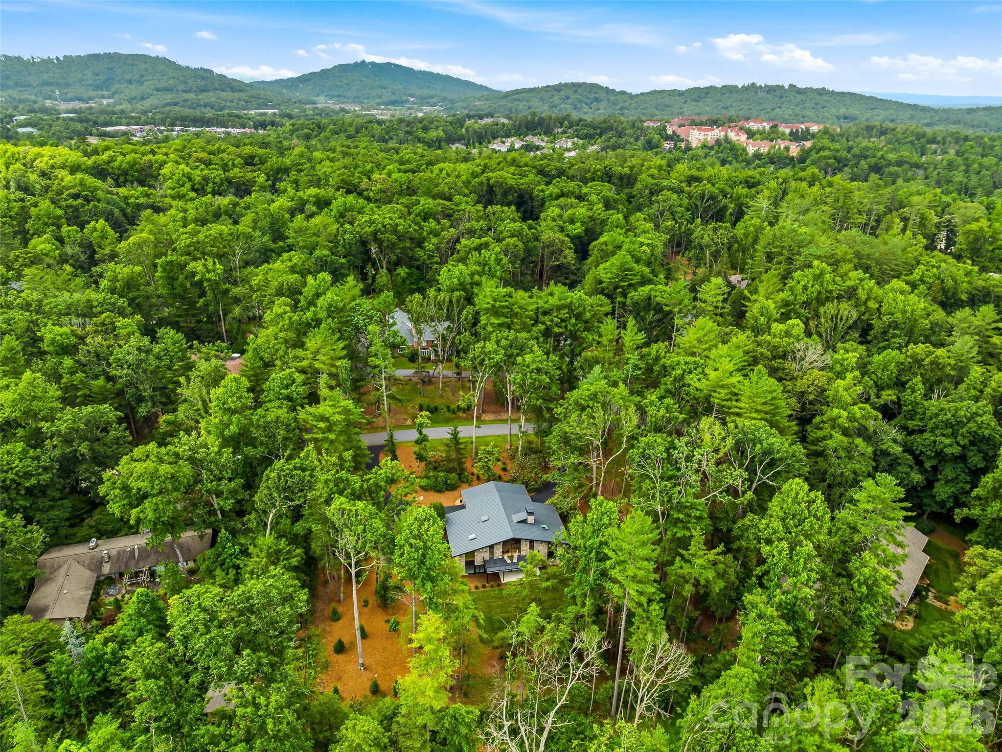 3 Holly Hill Road — Biltmore Forest
