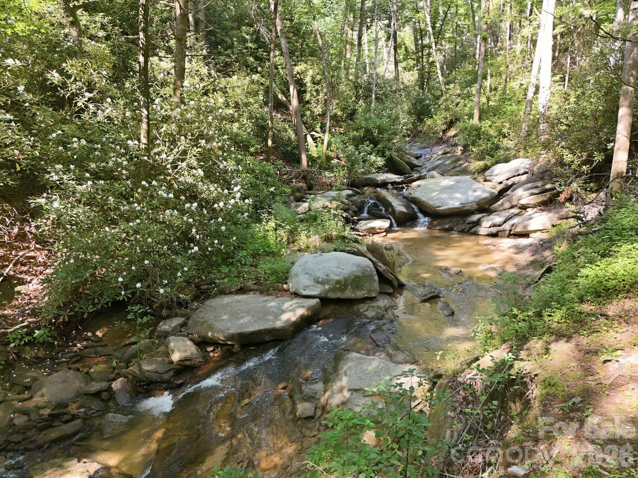 17 Sunny Morning Court — Hendersonville
