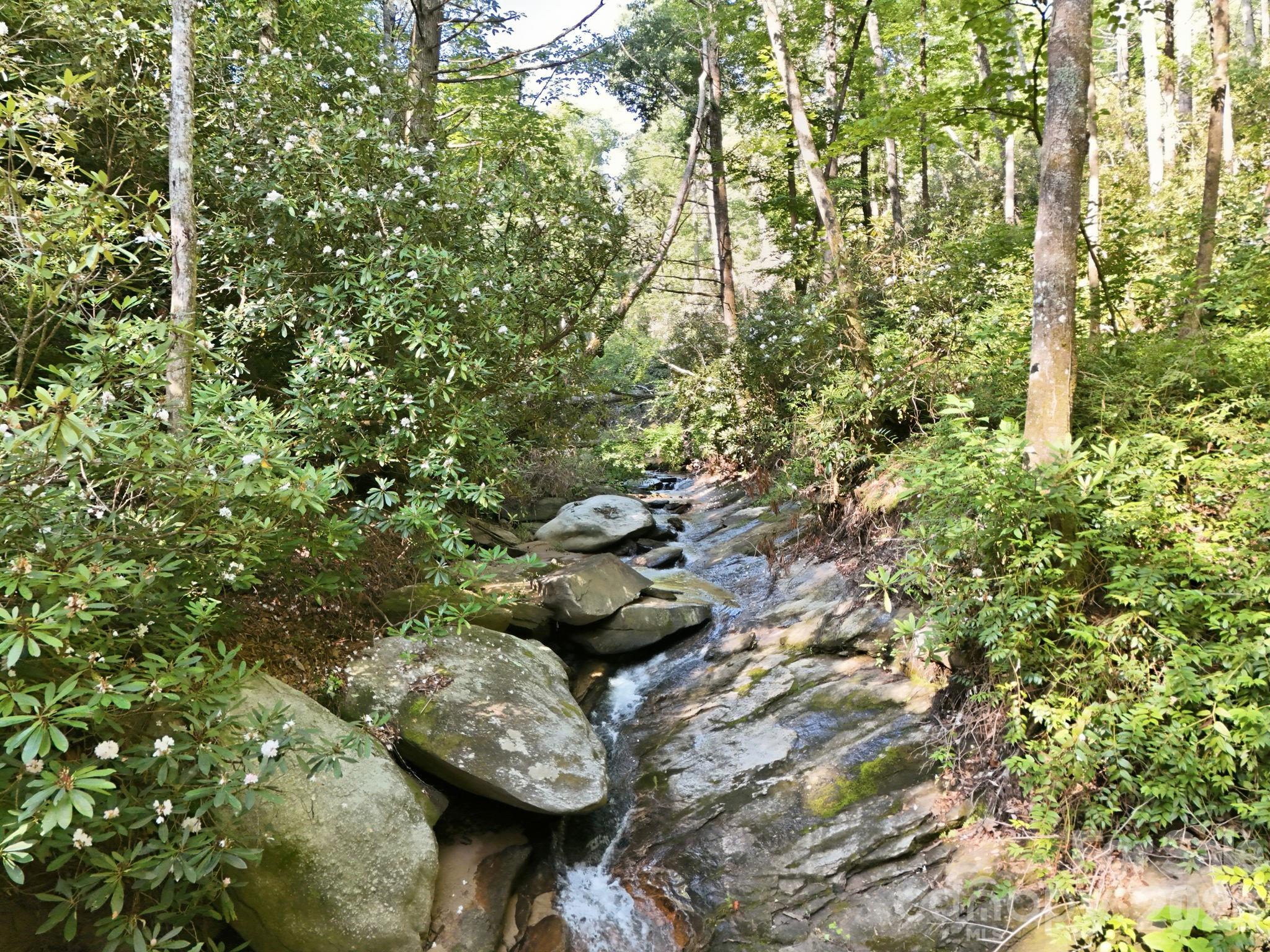17 Sunny Morning Court — Hendersonville