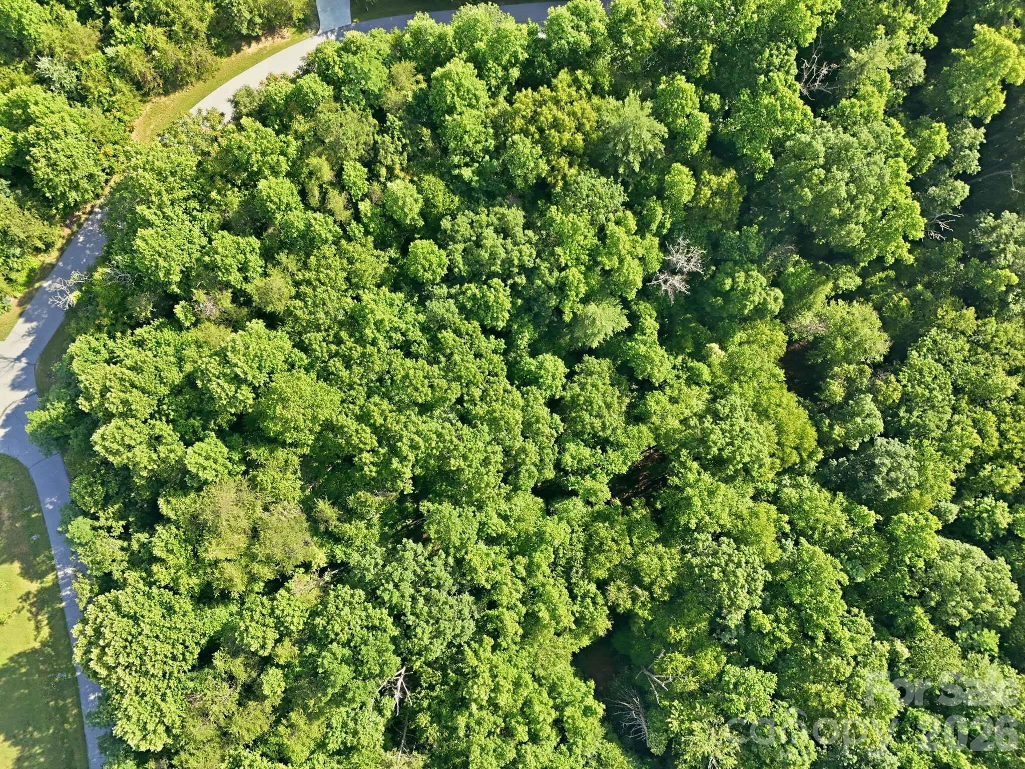 17 Sunny Morning Court — Hendersonville