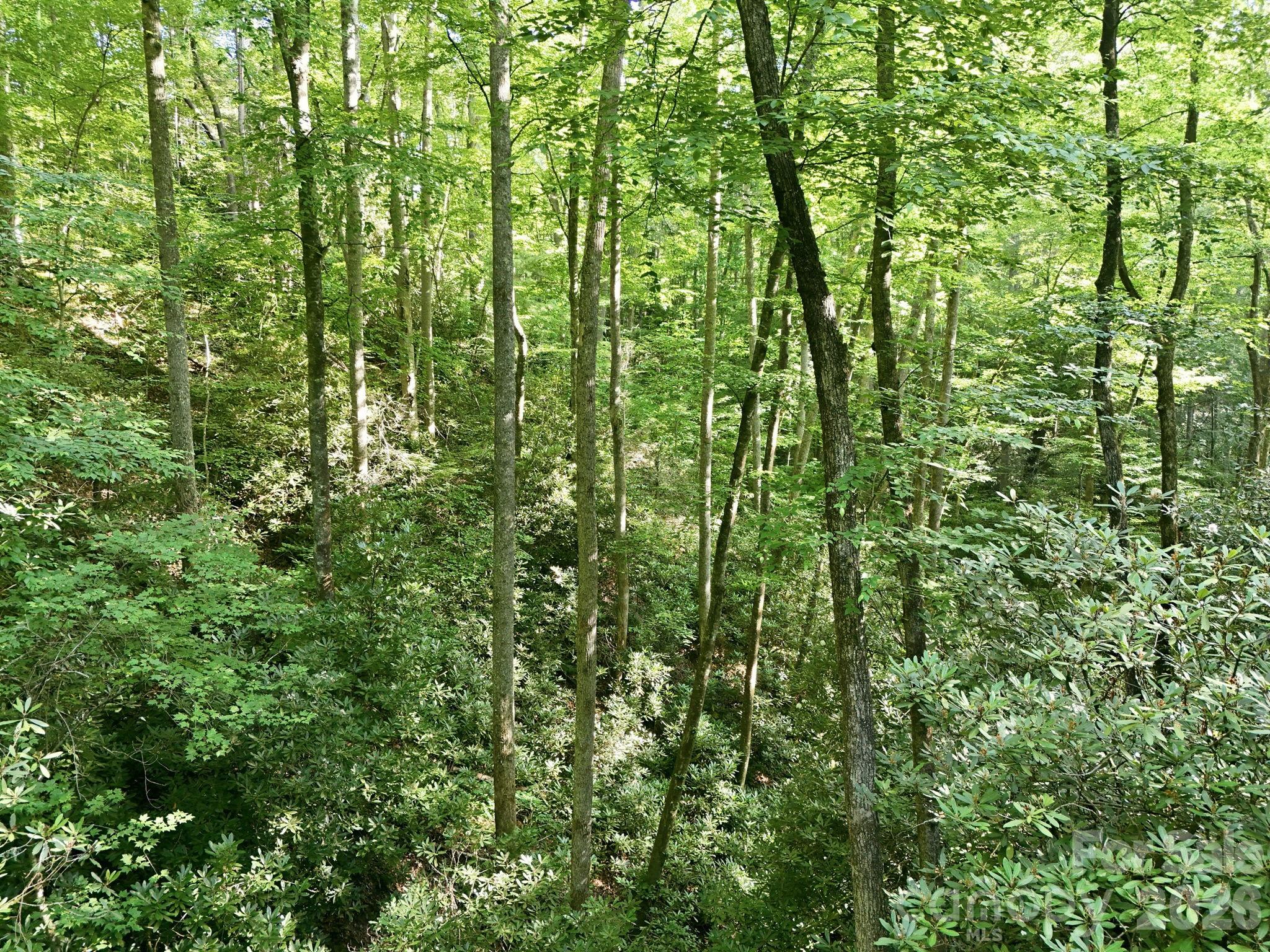 17 Sunny Morning Court — Hendersonville