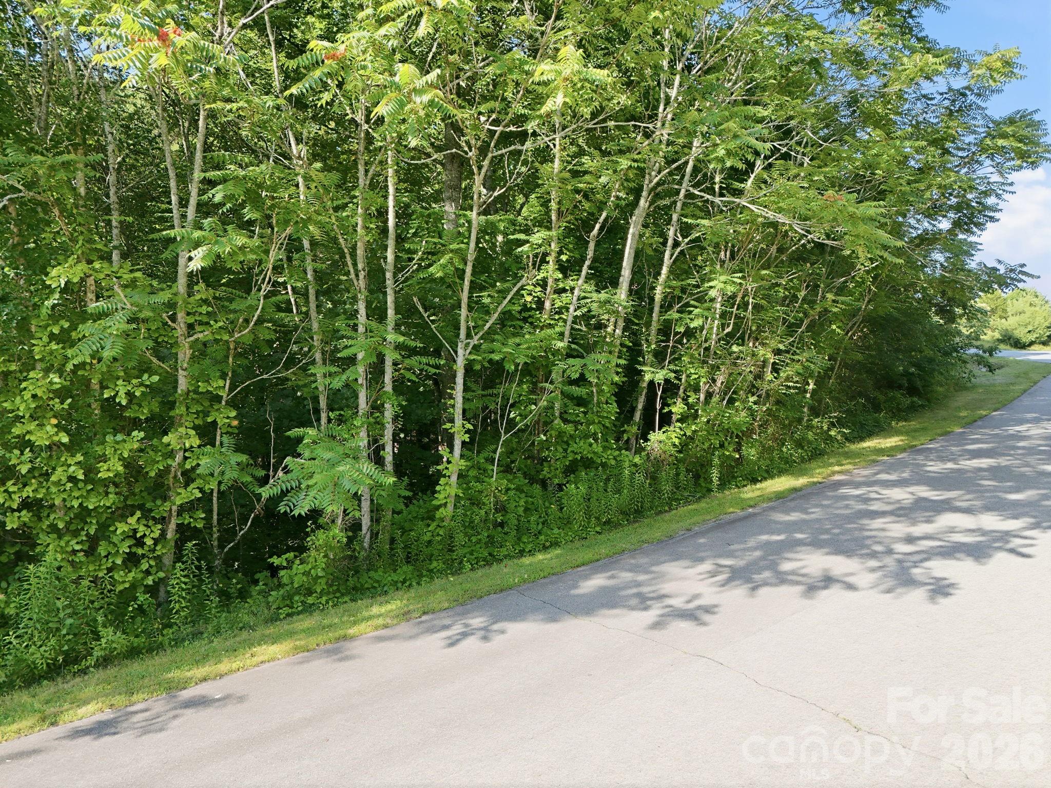 17 Sunny Morning Court — Hendersonville