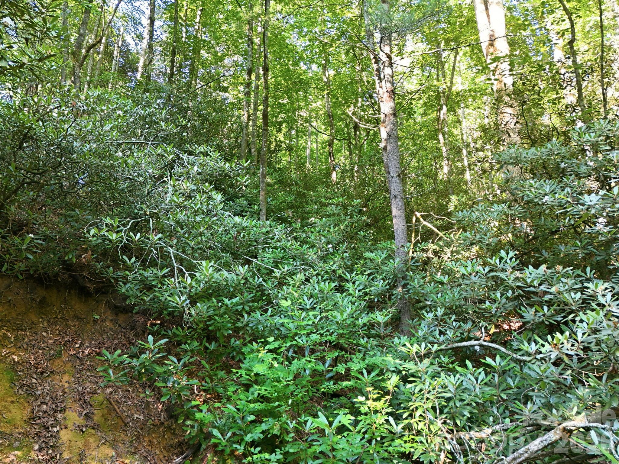 17 Sunny Morning Court — Hendersonville