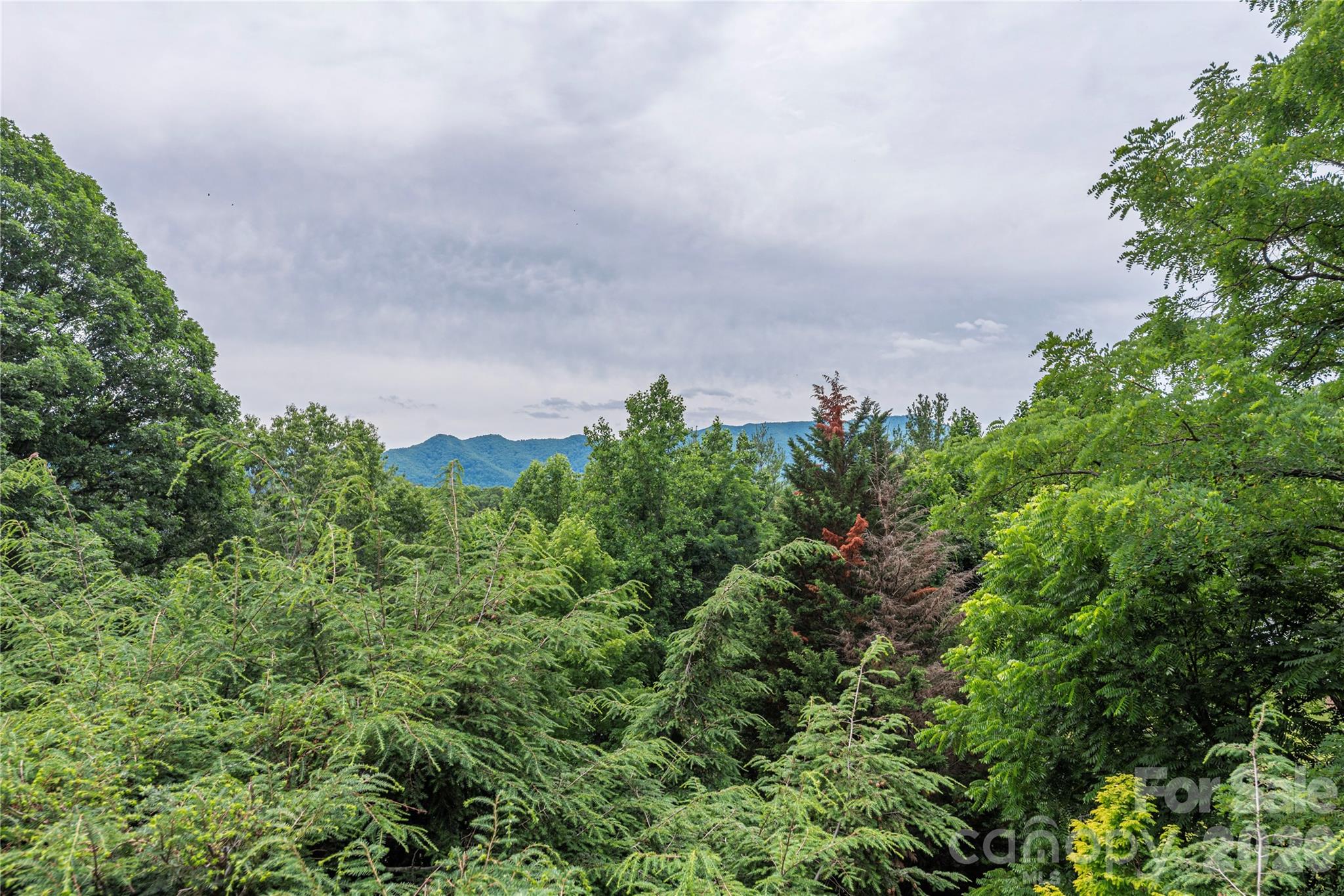 94 Oakcrest Lane — Waynesville