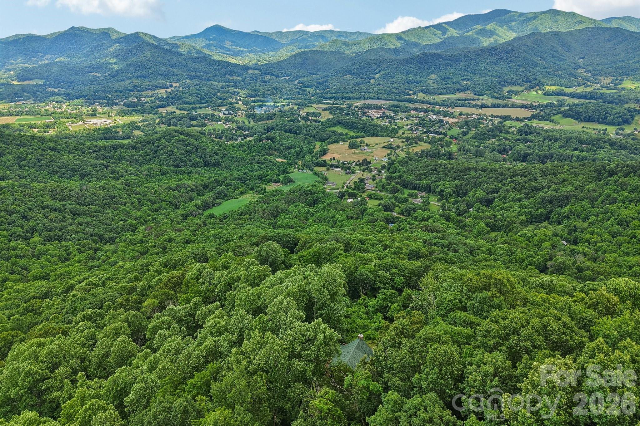 1250 Cobblestone Drive — Waynesville