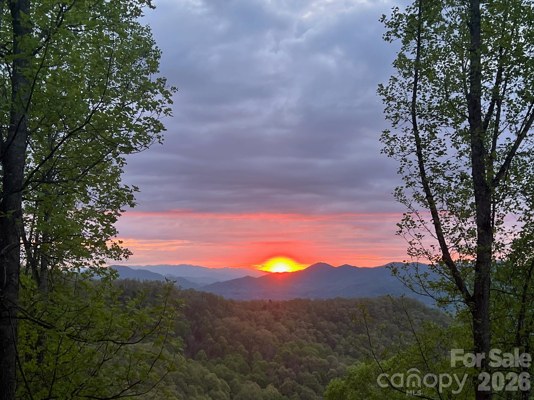 1250 Cobblestone Drive — Waynesville