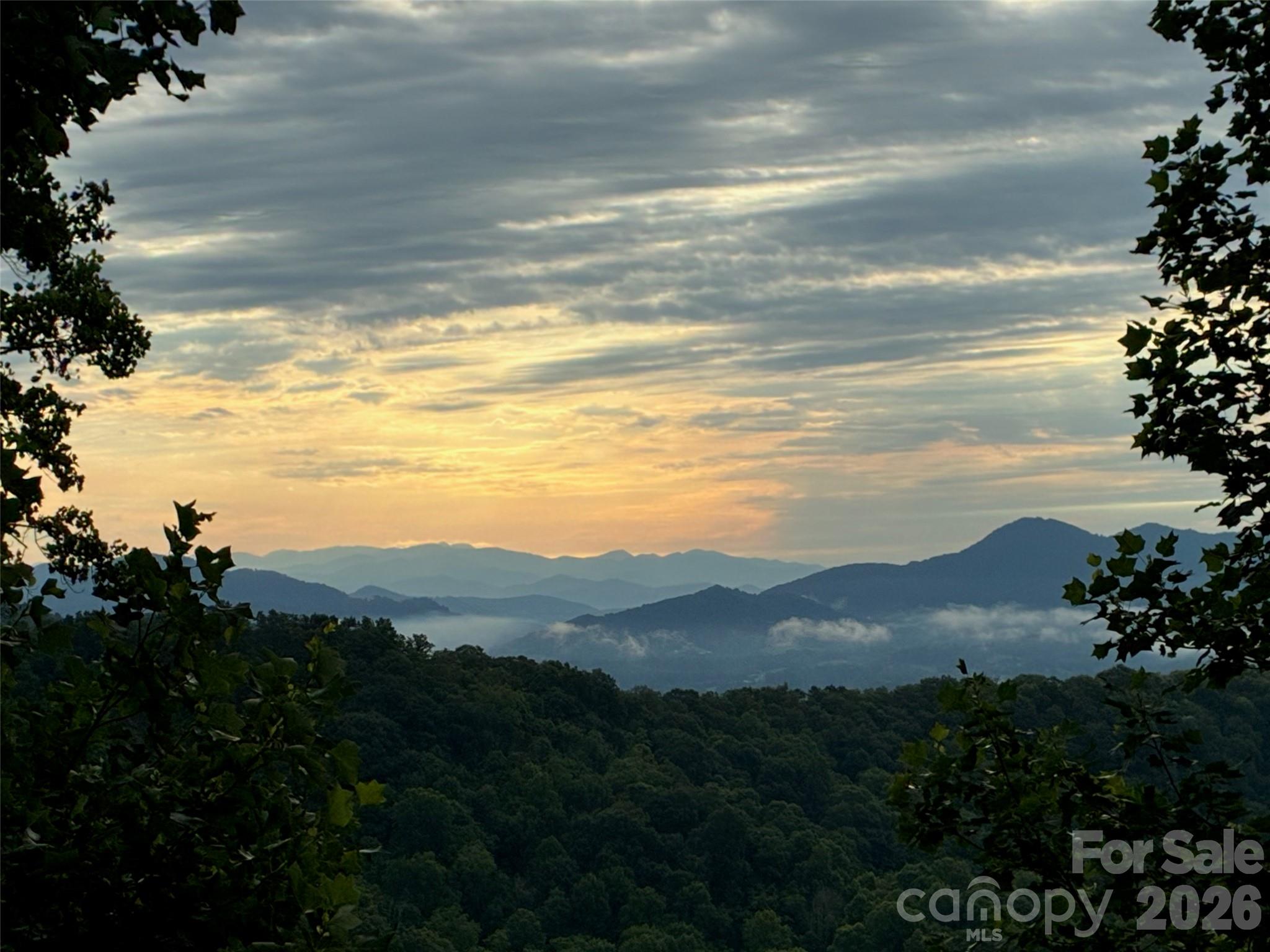 1250 Cobblestone Drive — Waynesville