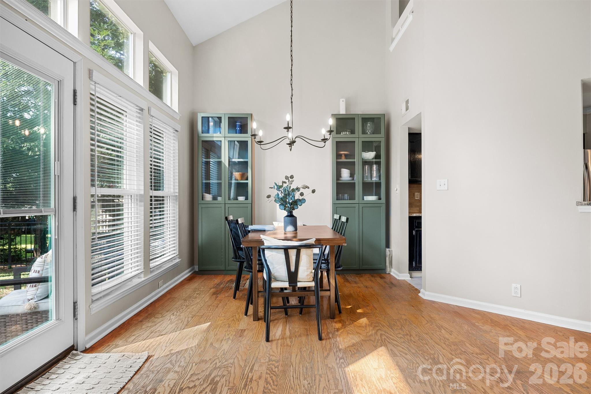 12210 Landing Green Drive — Charlotte