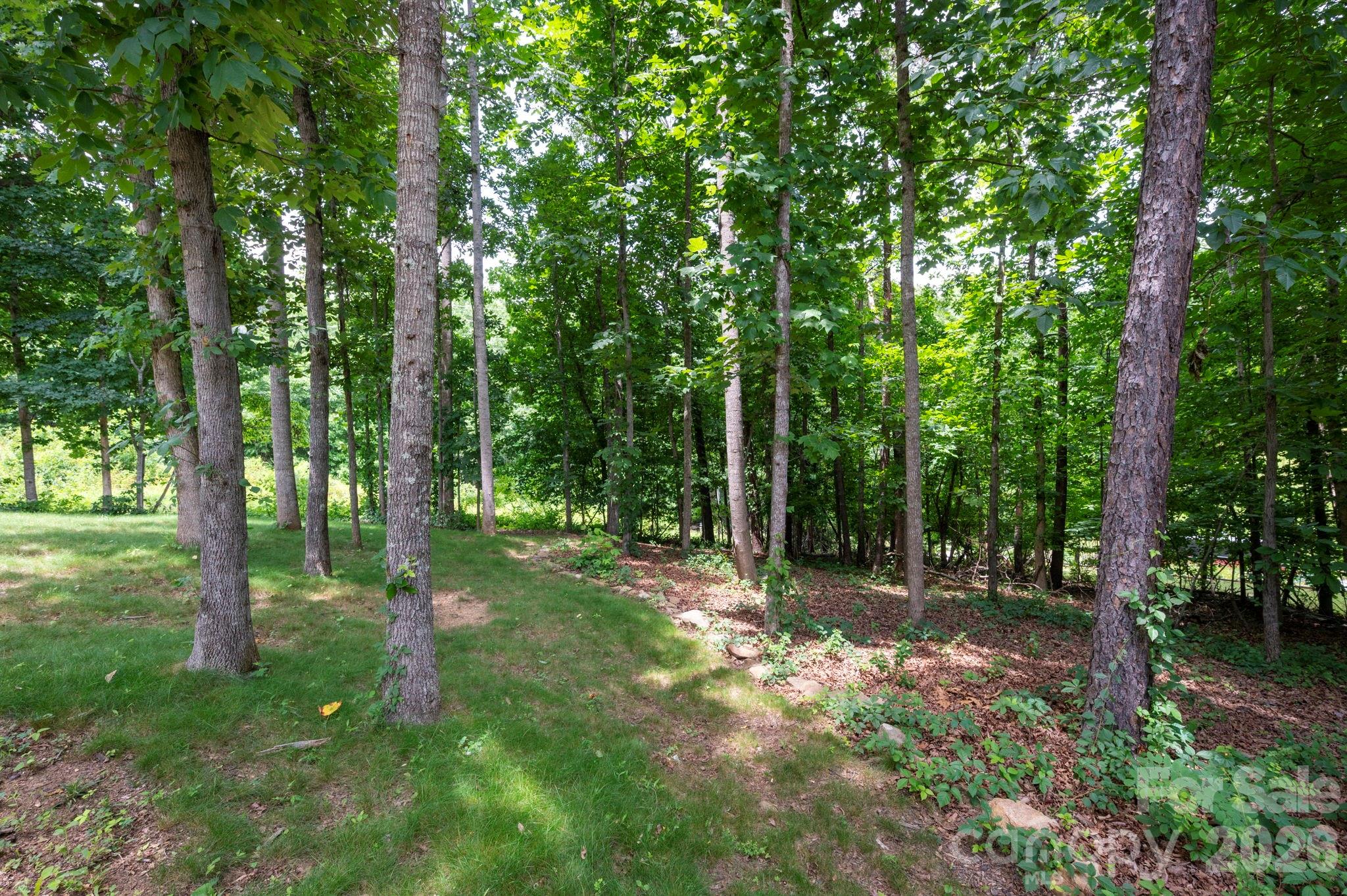58 Shuler Road — Candler