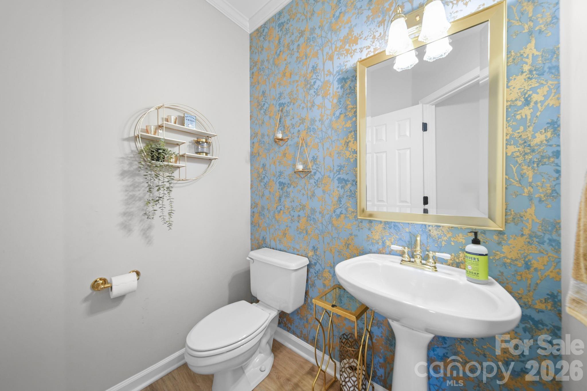 11204 Tavernay Parkway — Charlotte