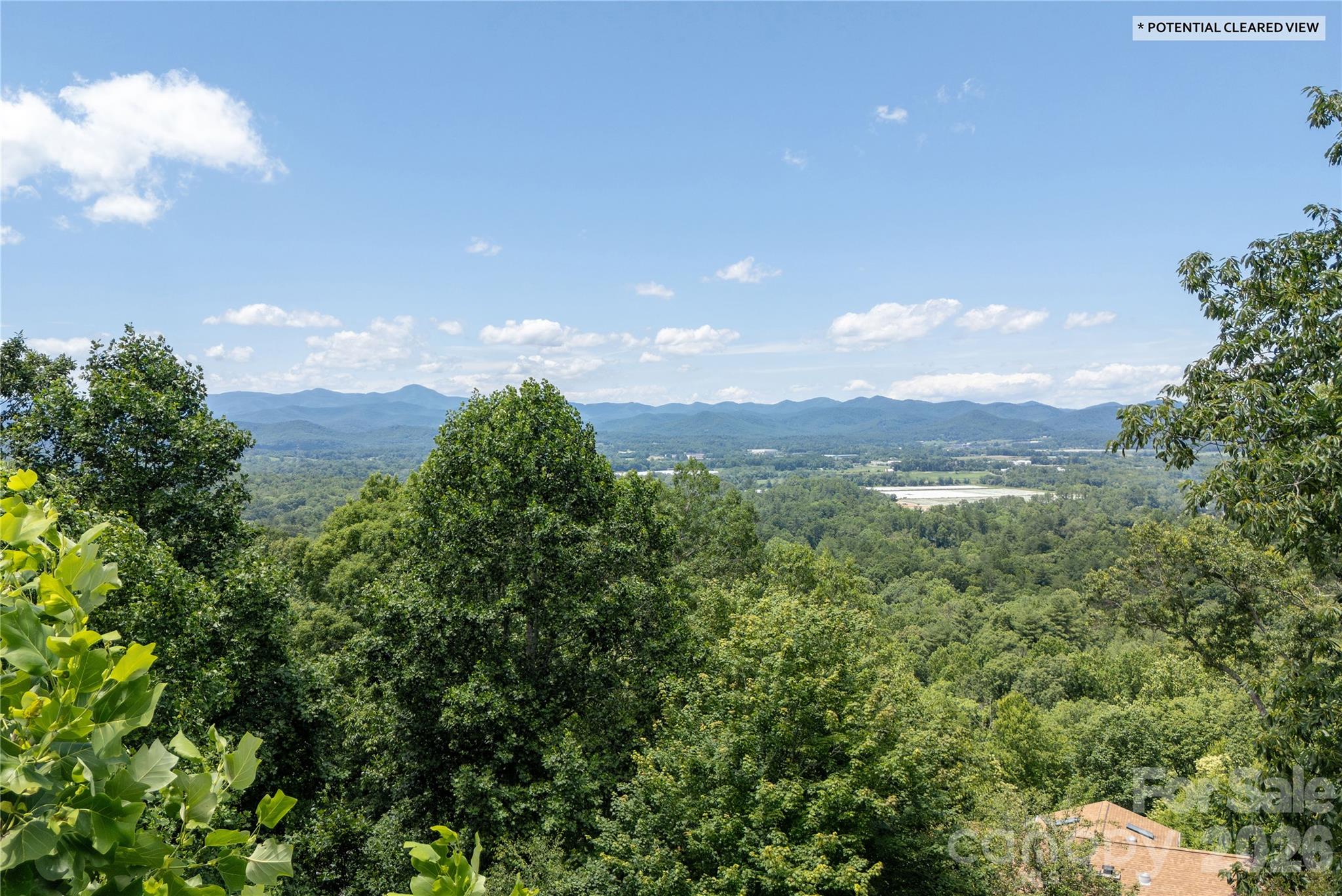 615 Goldview Drive — Hendersonville