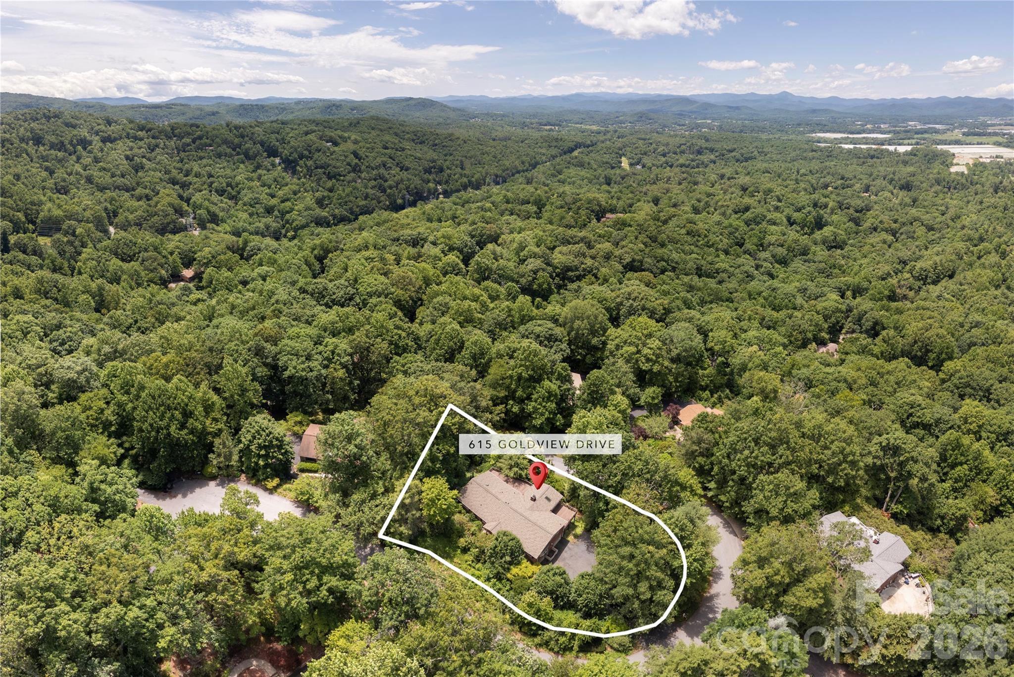 615 Goldview Drive — Hendersonville
