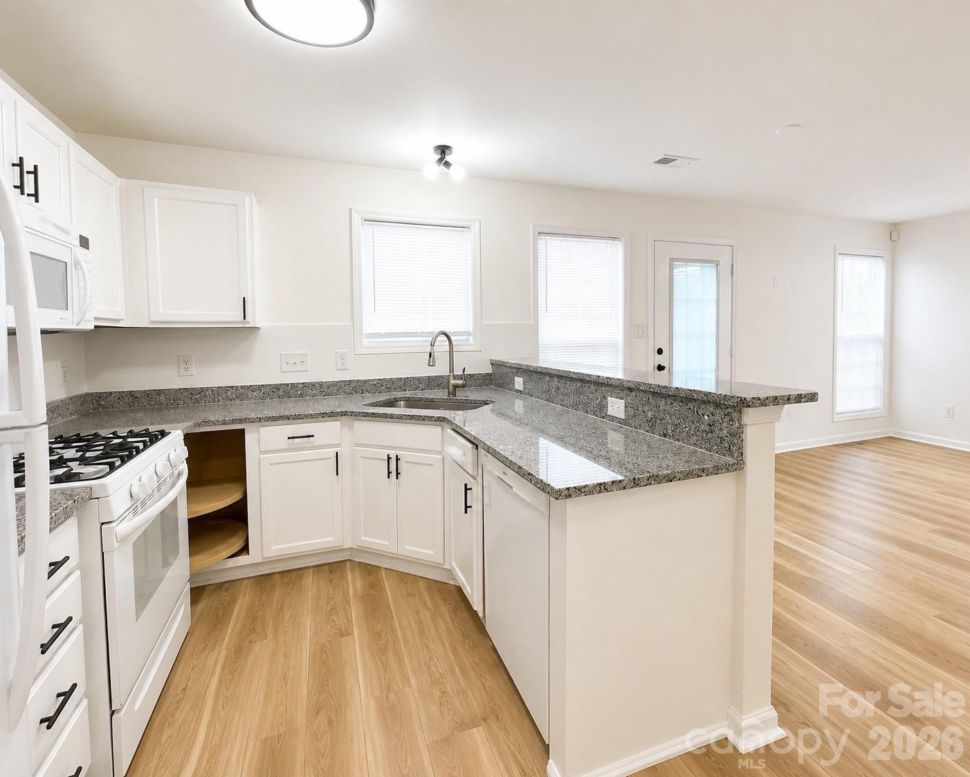 2049 Flushing Court — Charlotte