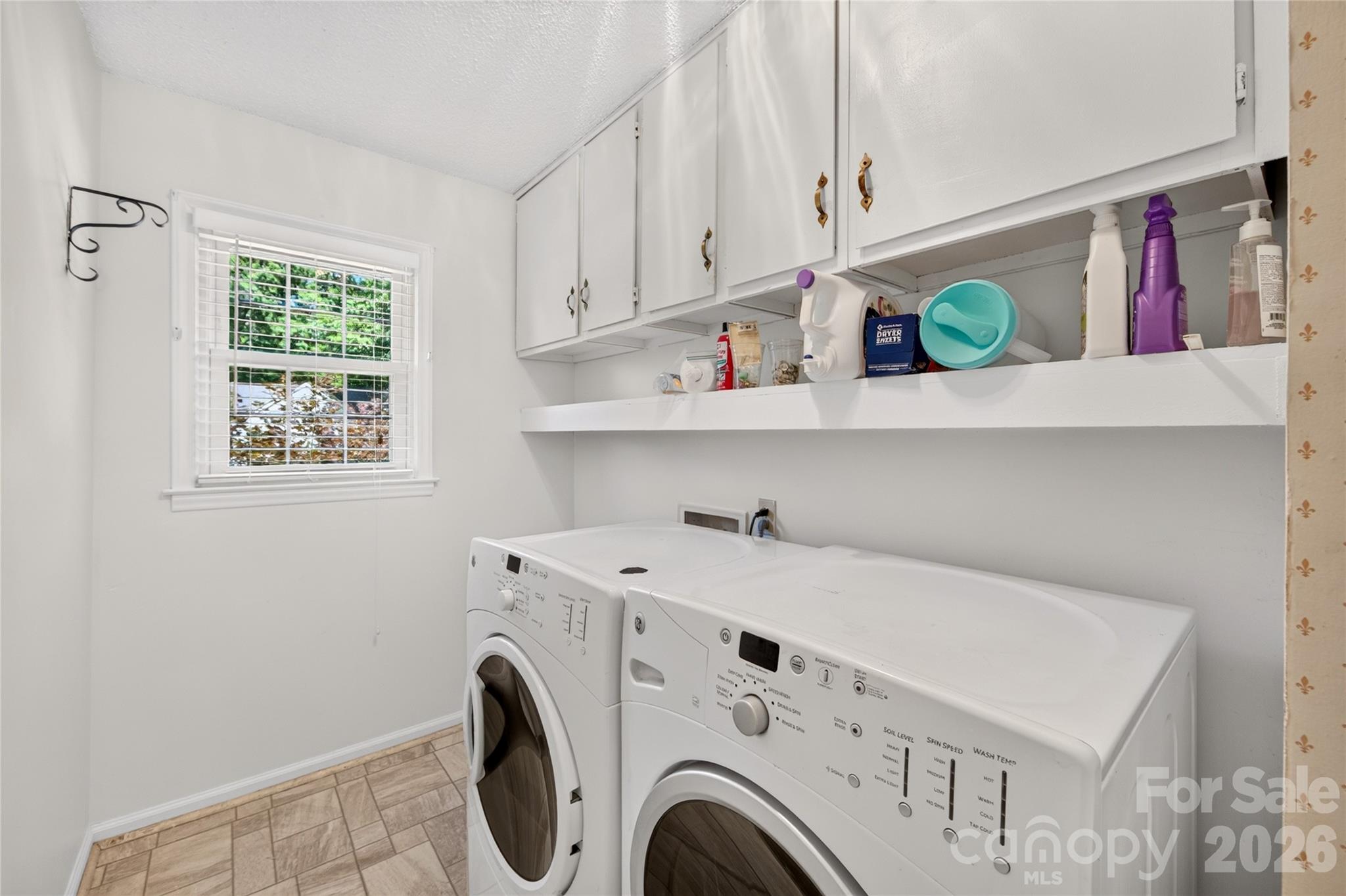 6801 Rambling Rose Drive — Charlotte