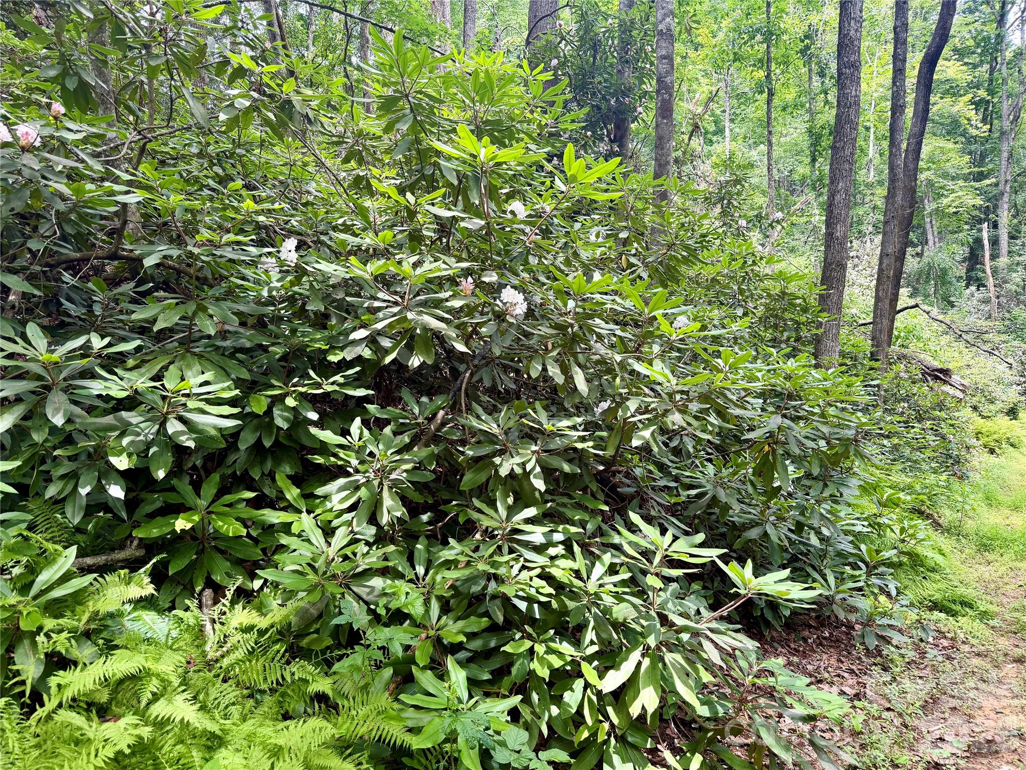 106 Flora Lina Drive — Brevard