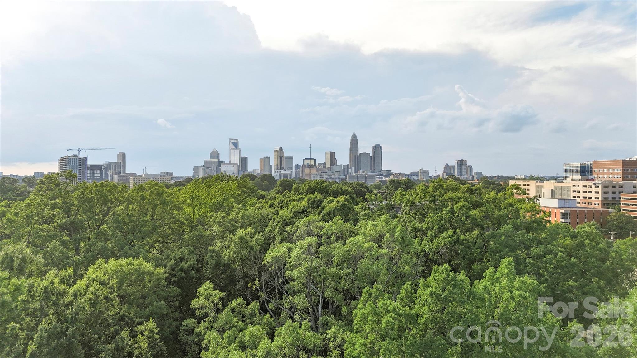 1515 Ranlo Avenue #1 — Charlotte