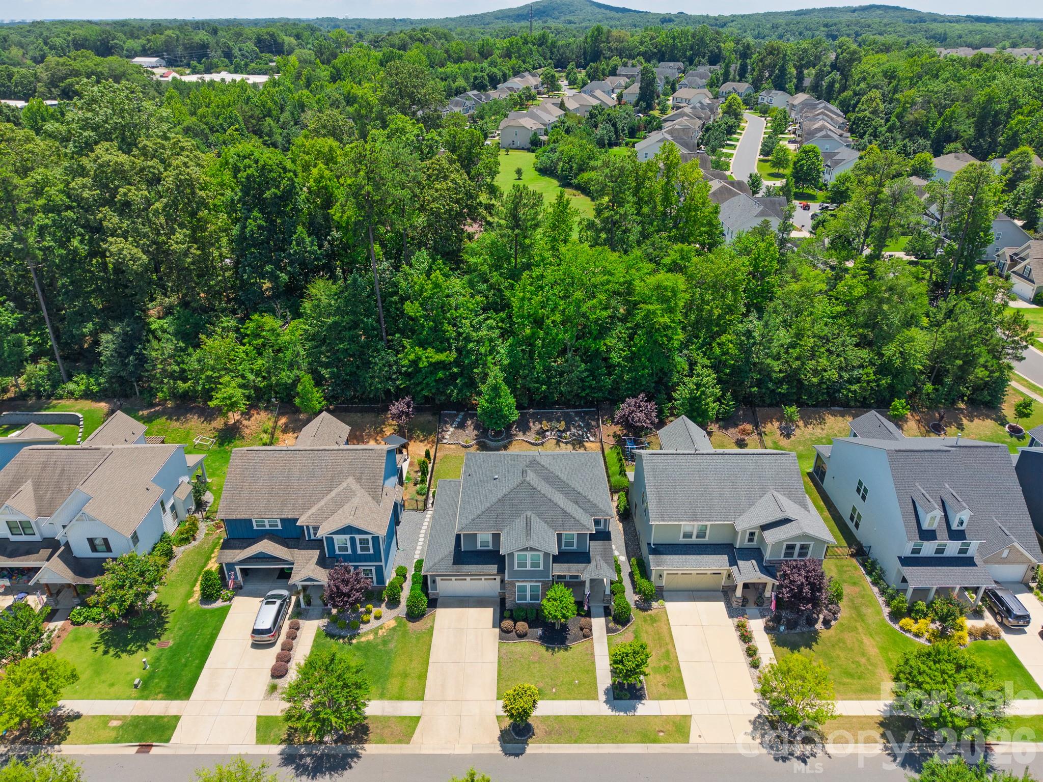 720 Yellow Jessamine Drive — Clover