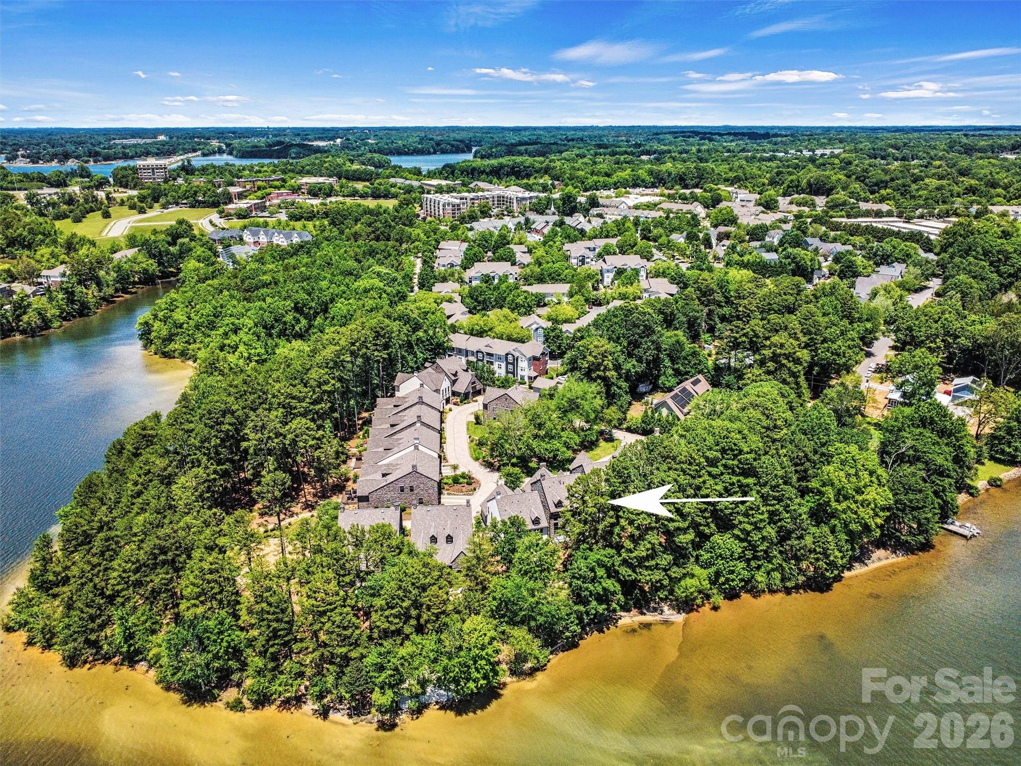 318 Ambleside Village Lane — Davidson