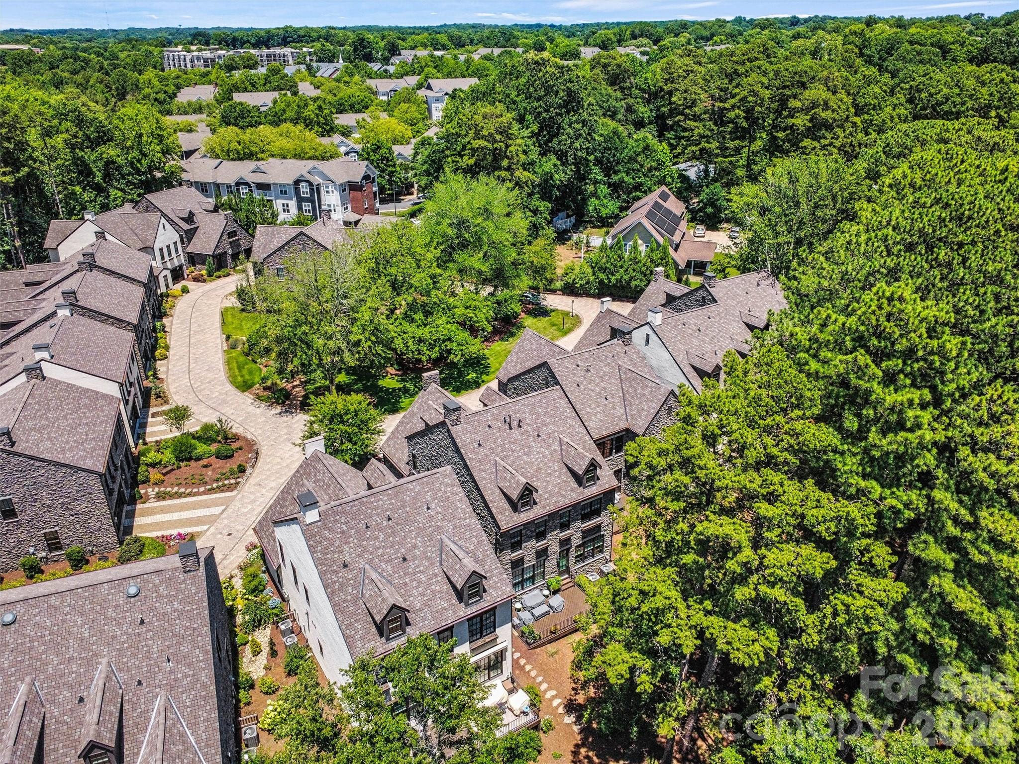 318 Ambleside Village Lane — Davidson