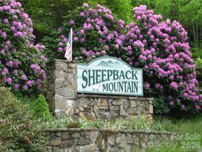 52 Steep Lane — Maggie Valley