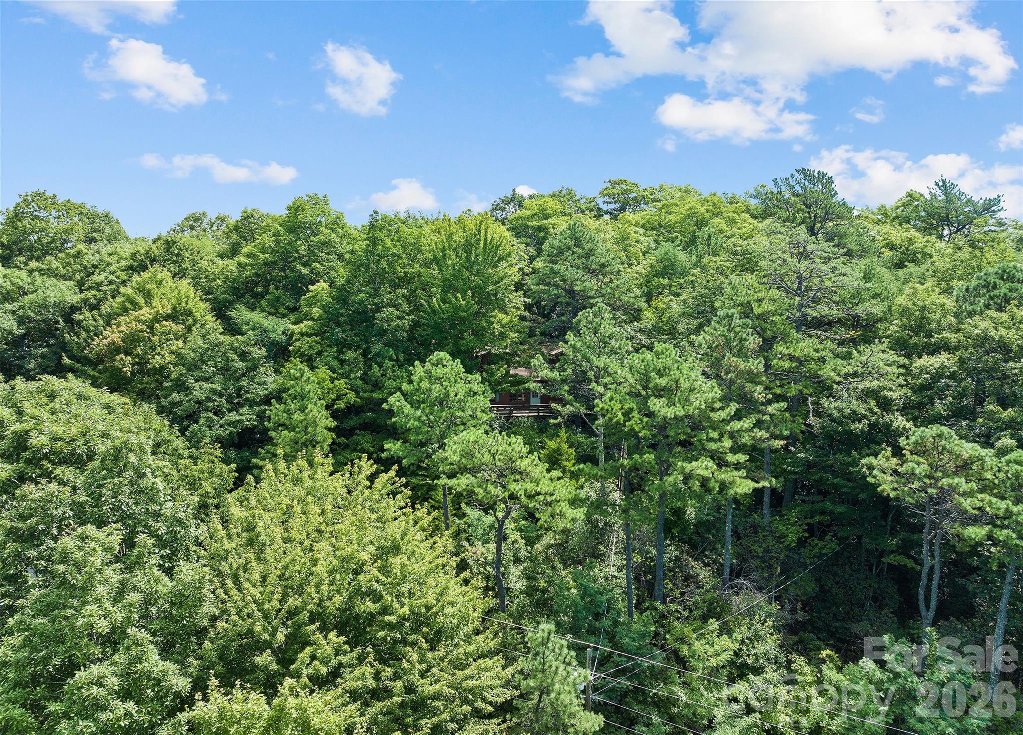 52 Steep Lane — Maggie Valley