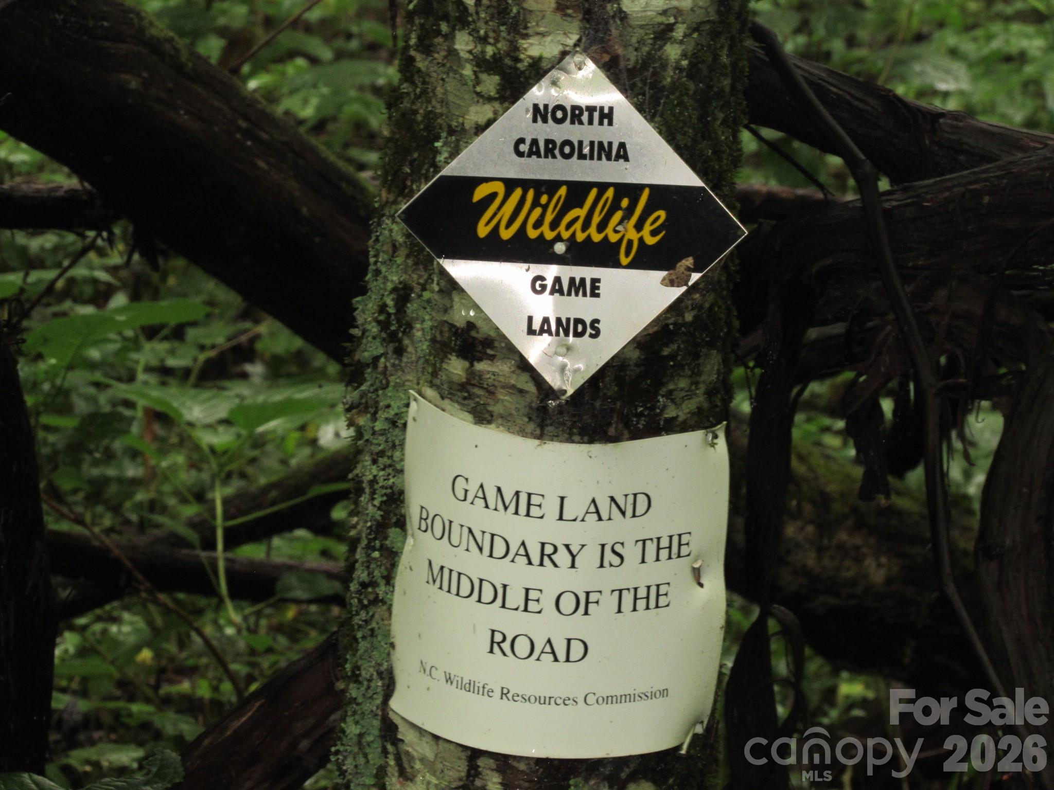 52 Steep Lane — Maggie Valley