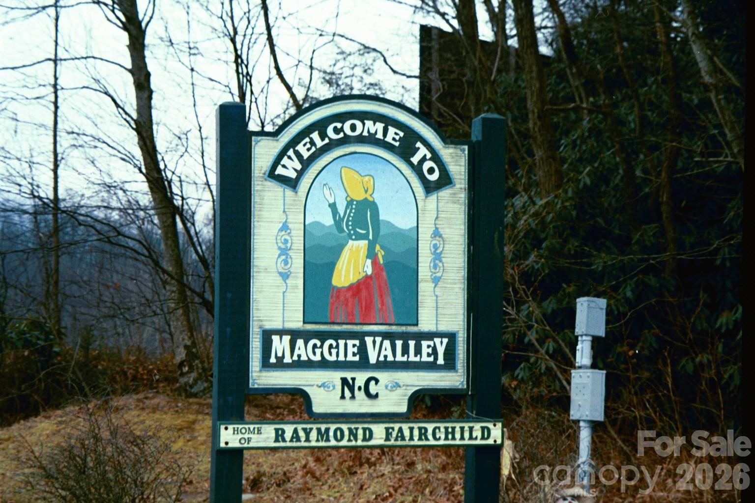 52 Steep Lane — Maggie Valley