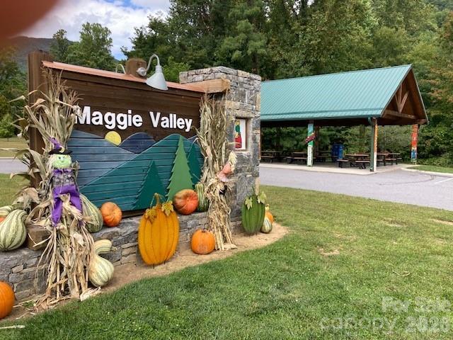 52 Steep Lane — Maggie Valley