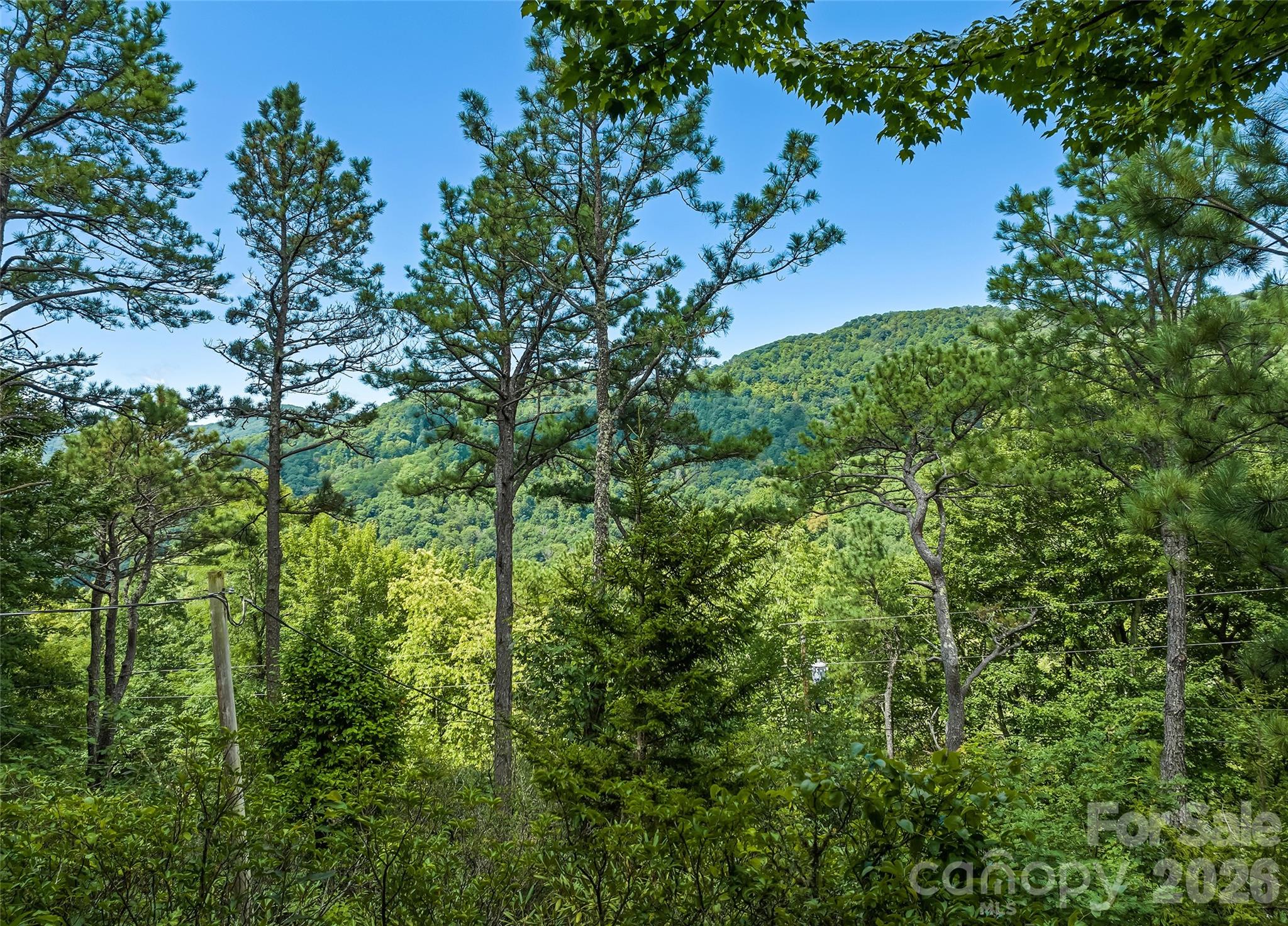 52 Steep Lane — Maggie Valley