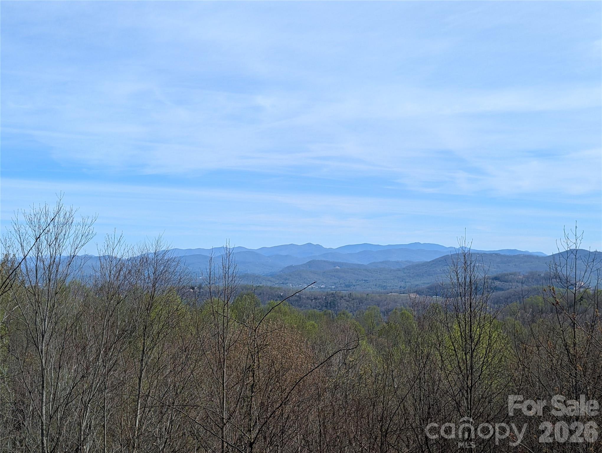 122 Birchwood Drive — Hendersonville
