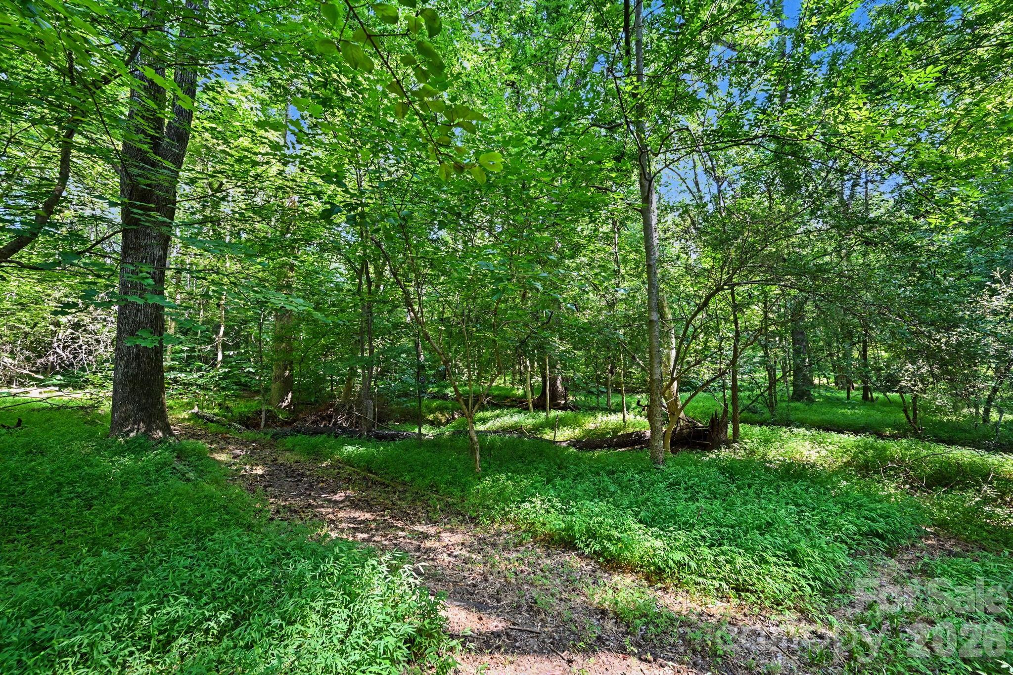 10006 Stoneleigh Lane — Charlotte