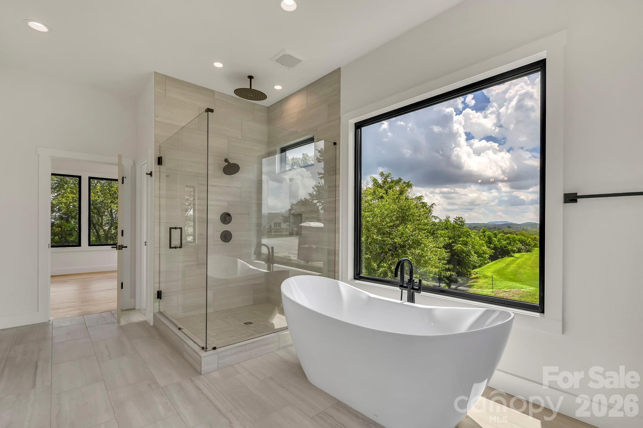 227 Pisgah Ridge Trail — Mills River