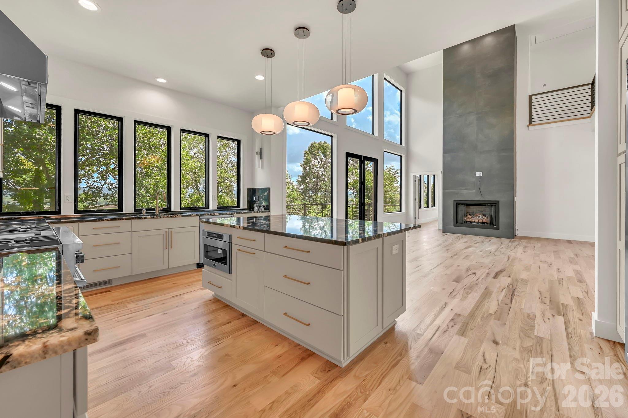 227 Pisgah Ridge Trail — Mills River