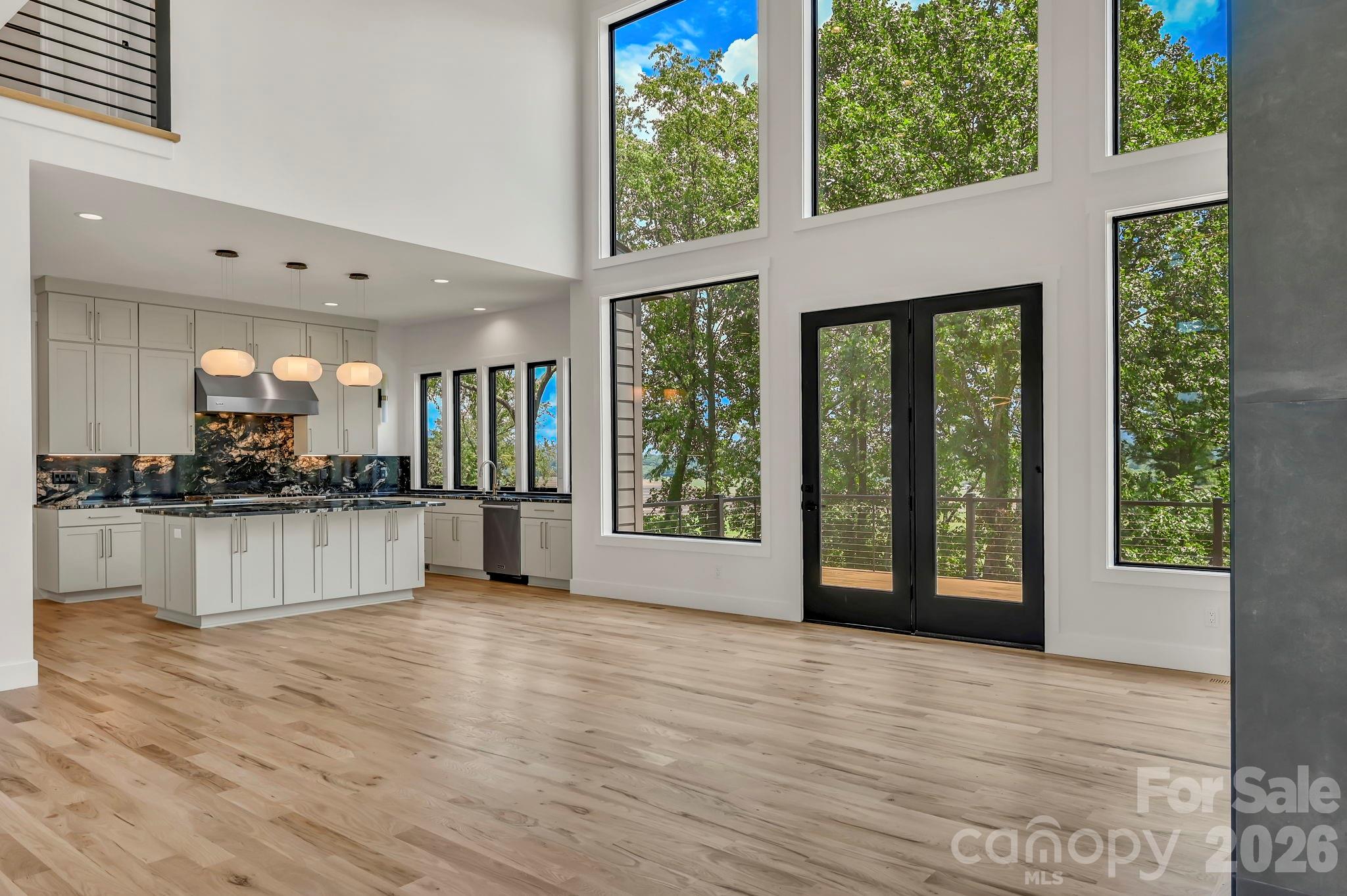 227 Pisgah Ridge Trail — Mills River