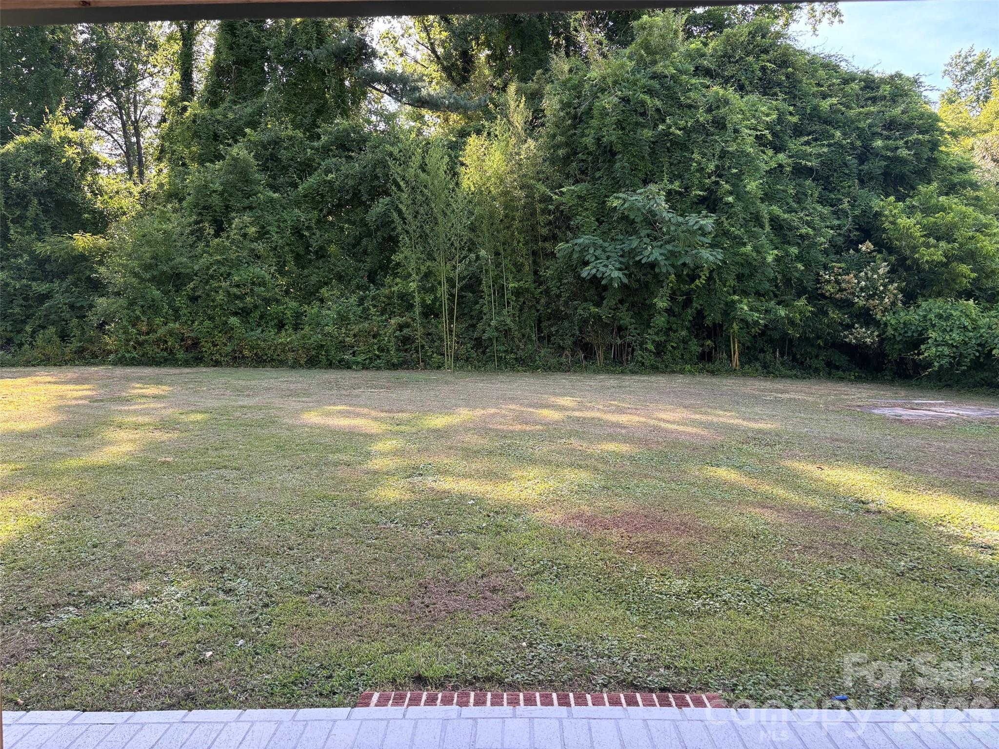 168 Collins Avenue — Forest City