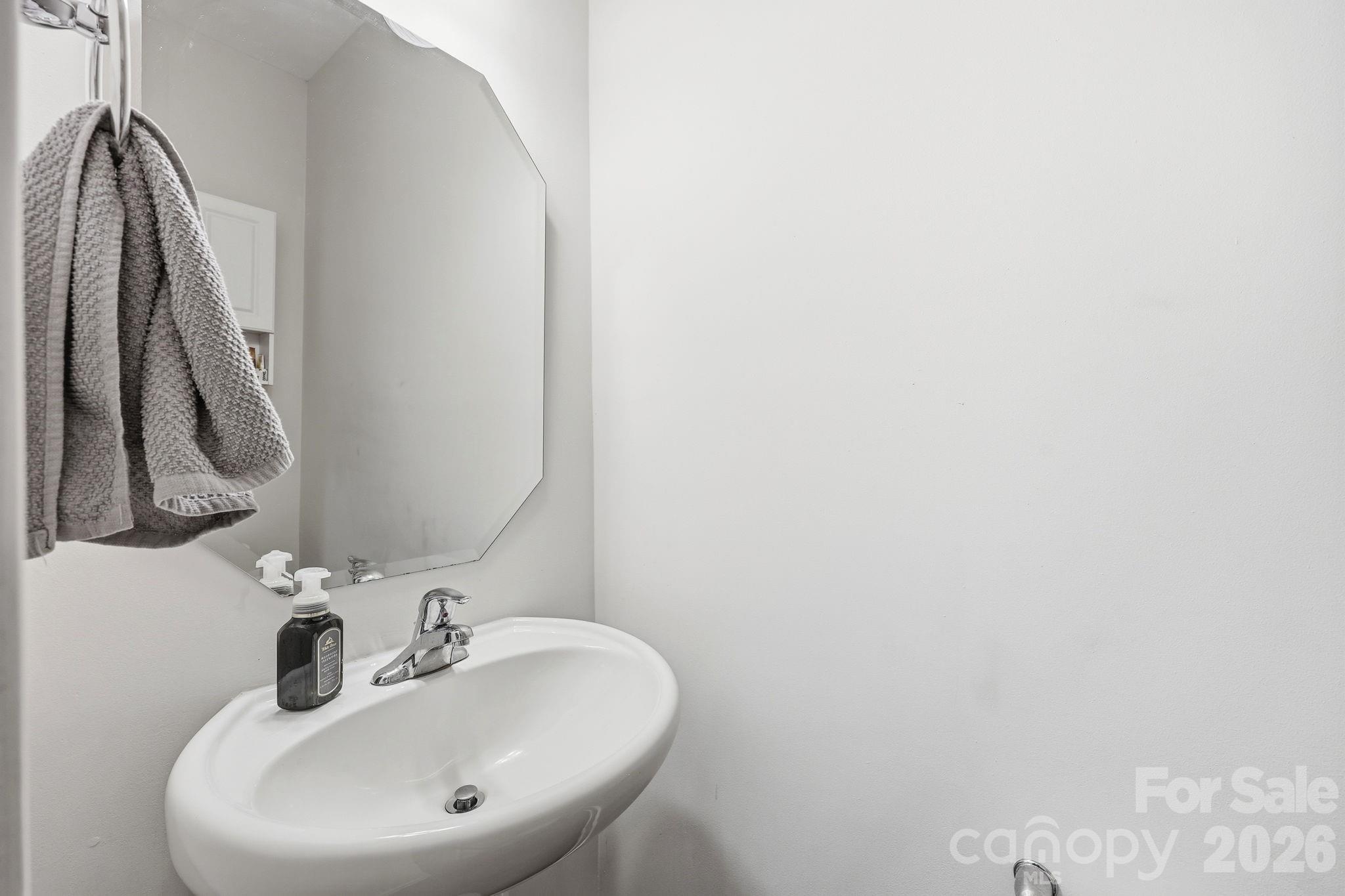 8411 Washoe Pine Lane — Charlotte